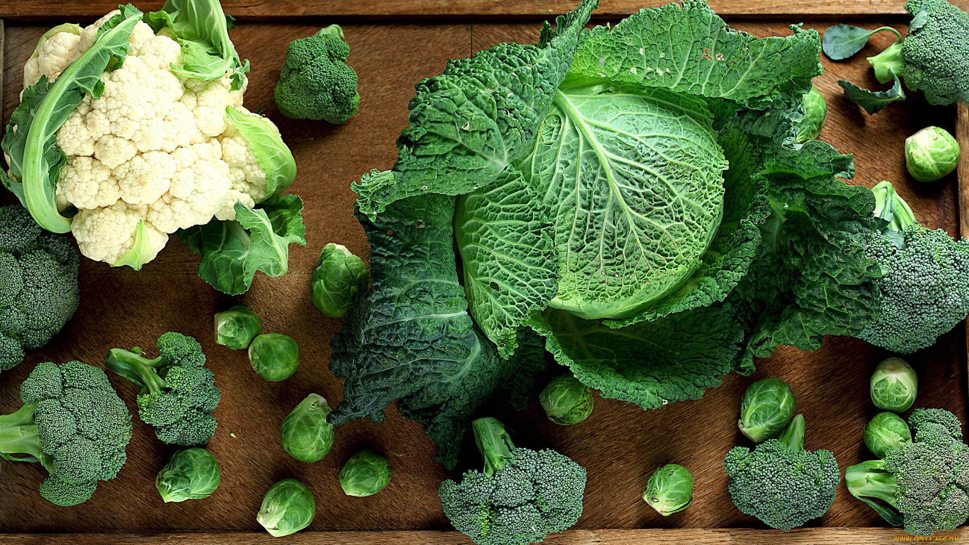 еда, капуста, и, её, разновидности, брокколи, капуста, цветная, савойская, брюссельская