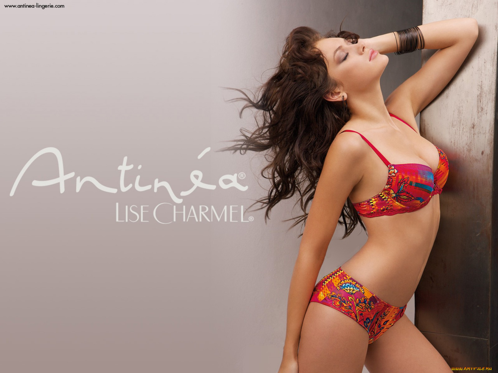 antin&, 233, бренды