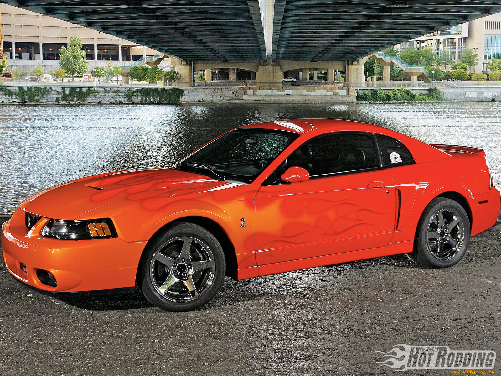 автомобили, mustang