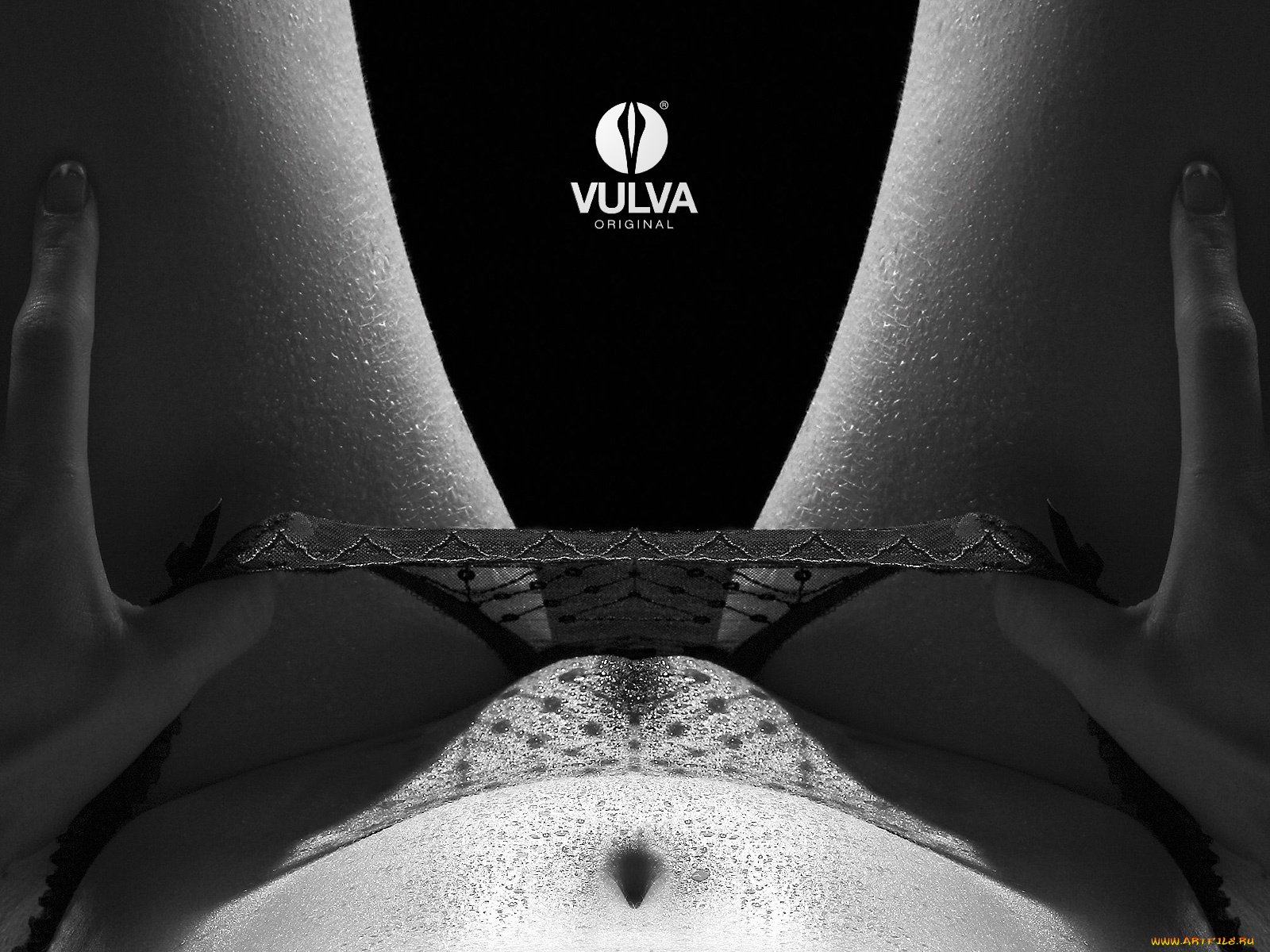 vulva, original, бренды
