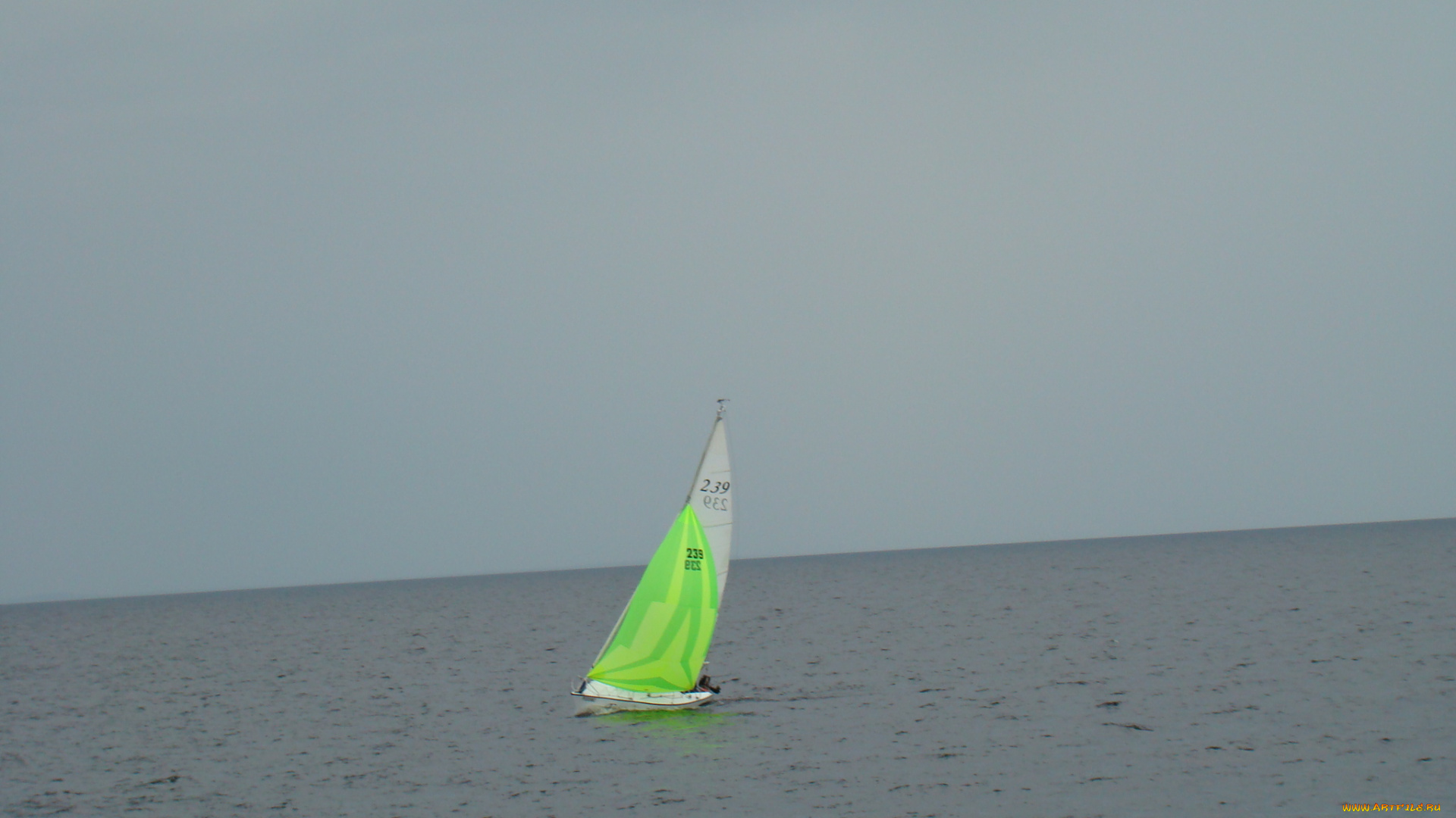 корабли, Яхты