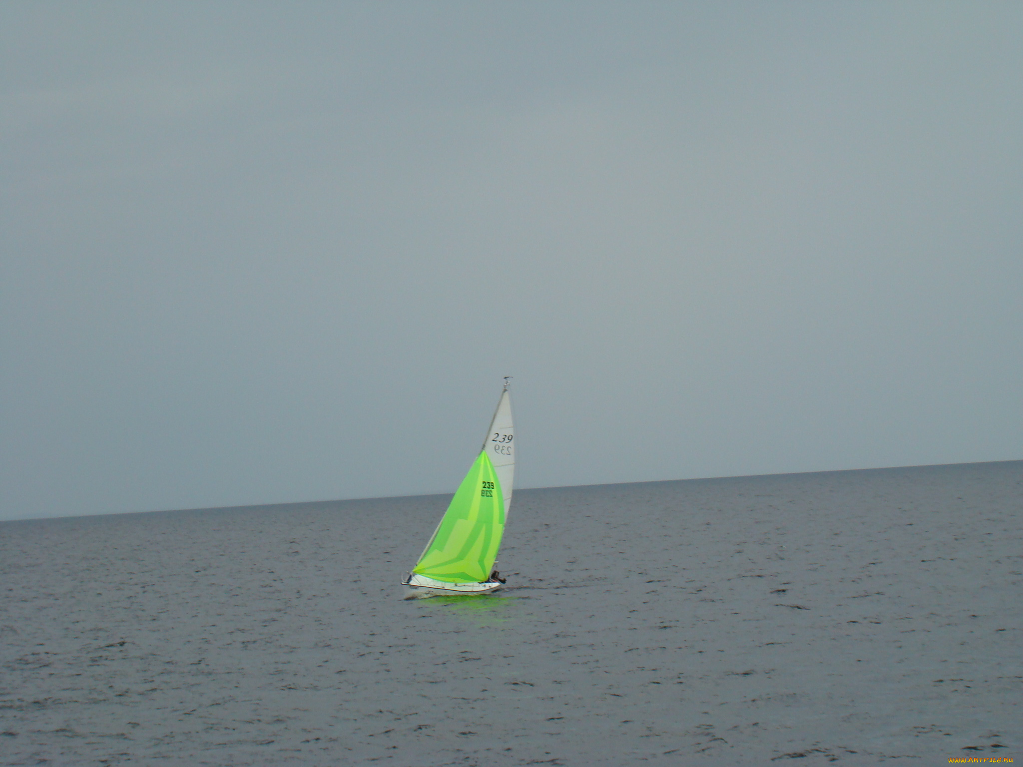 корабли, Яхты