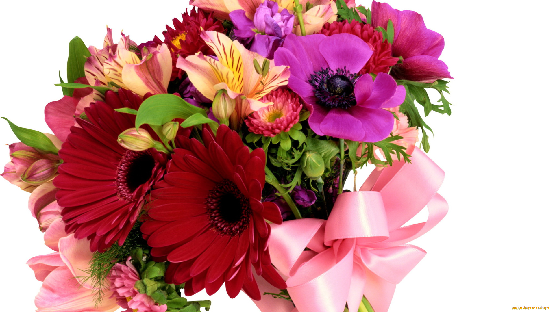 цветы, букеты, композиции, альстомерия, герберы, маргаритки, анемоны, лента