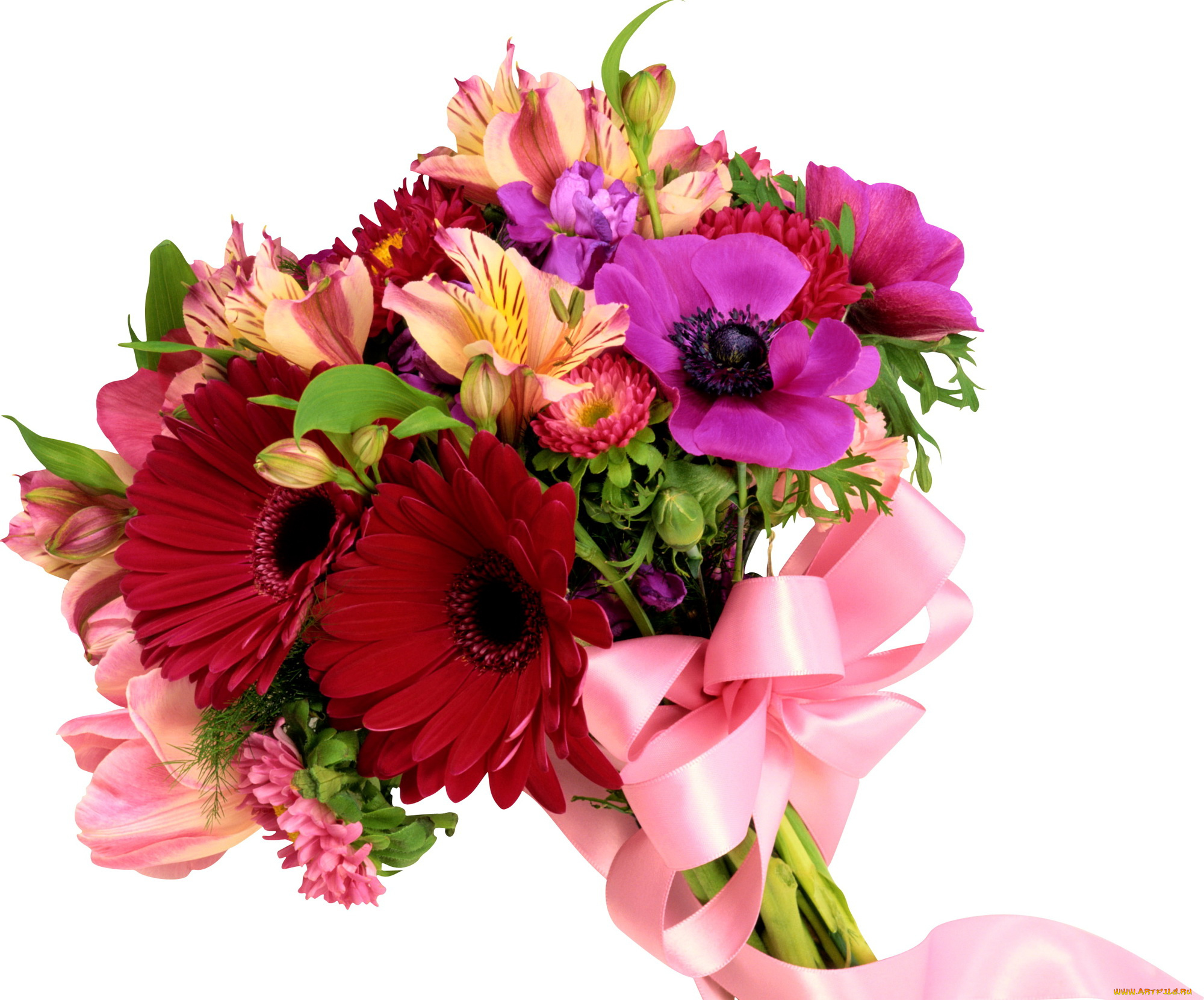 цветы, букеты, композиции, альстомерия, герберы, маргаритки, анемоны, лента
