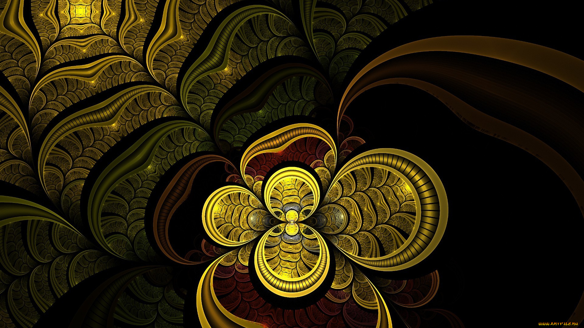 3д, графика, fractal, фракталы, волны, лепестки, цветок, узор