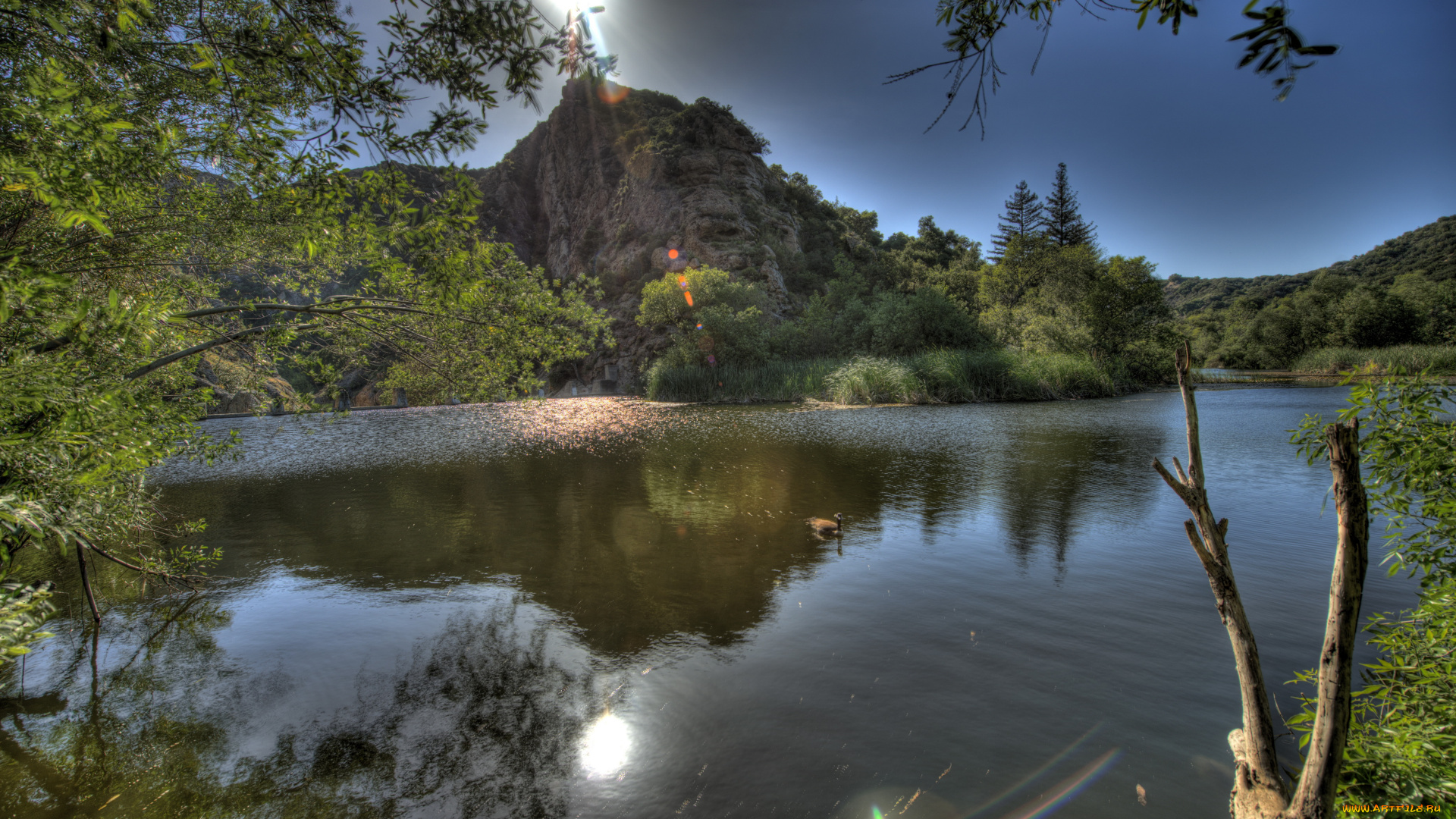 california, malibu, природа, восходы, закаты, река, горы, луна