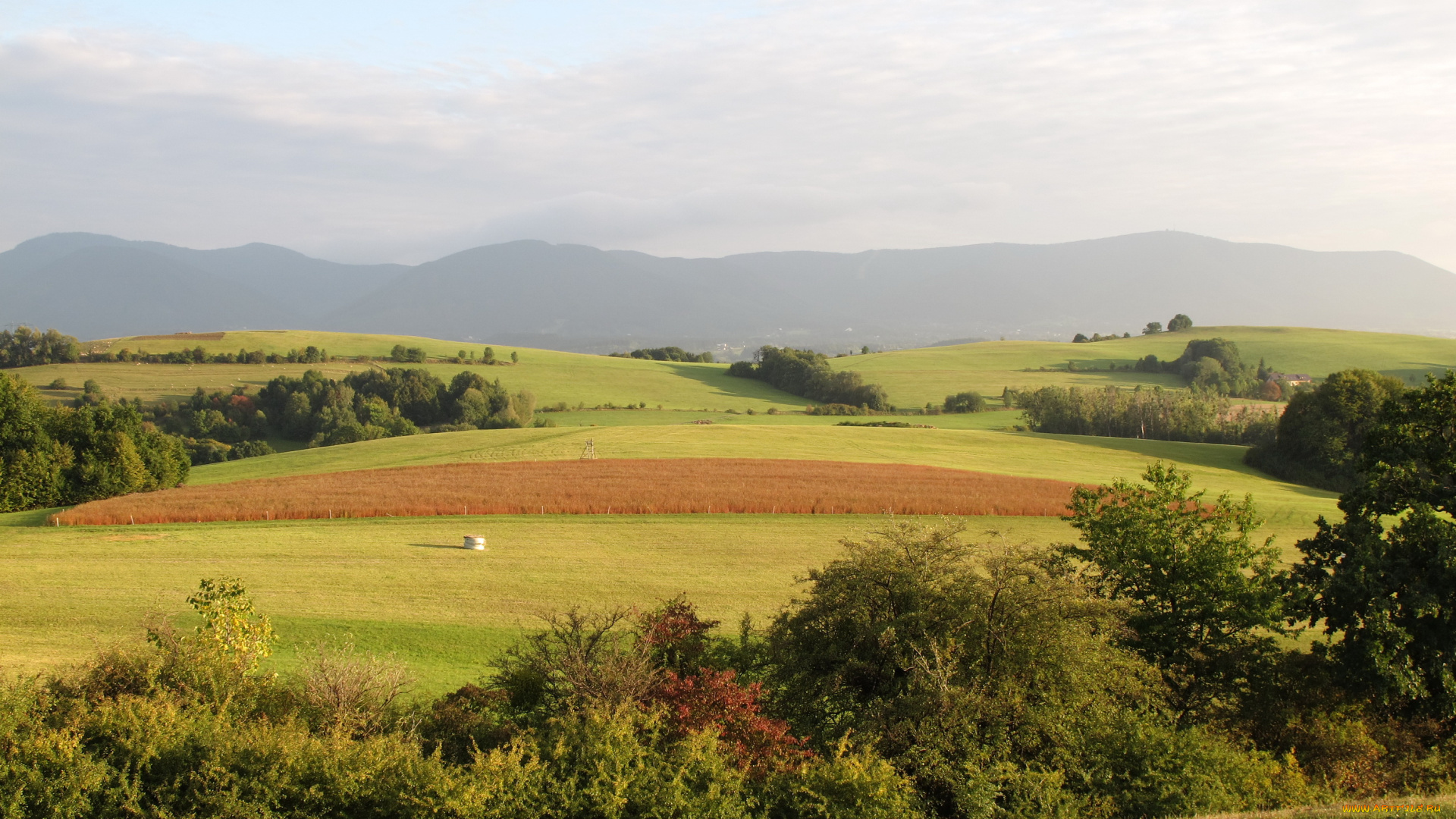 Чехия, kozlovice, природа, поля