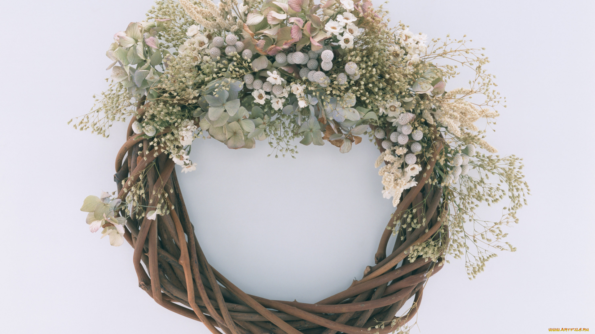 цветы, букеты, композиции, лепестки, венок