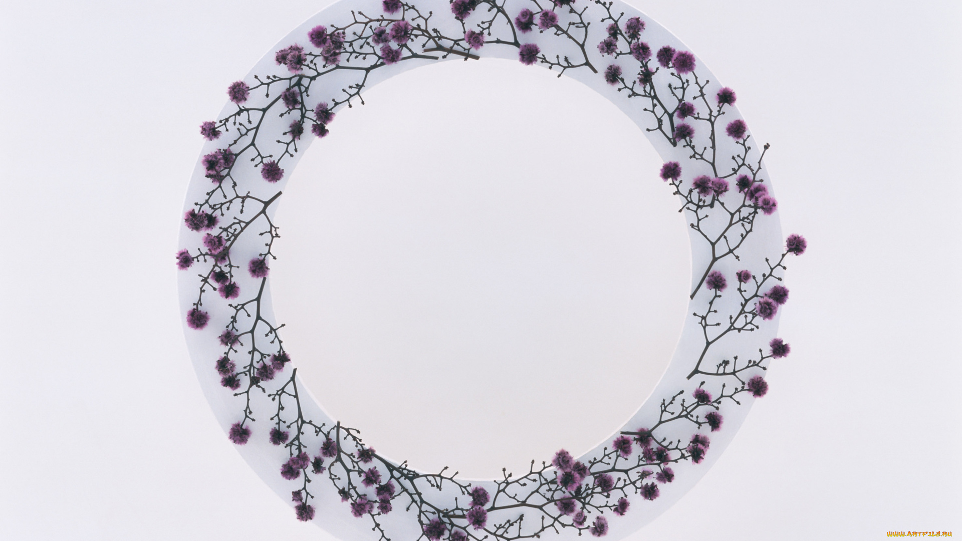 цветы, лепестки, венок