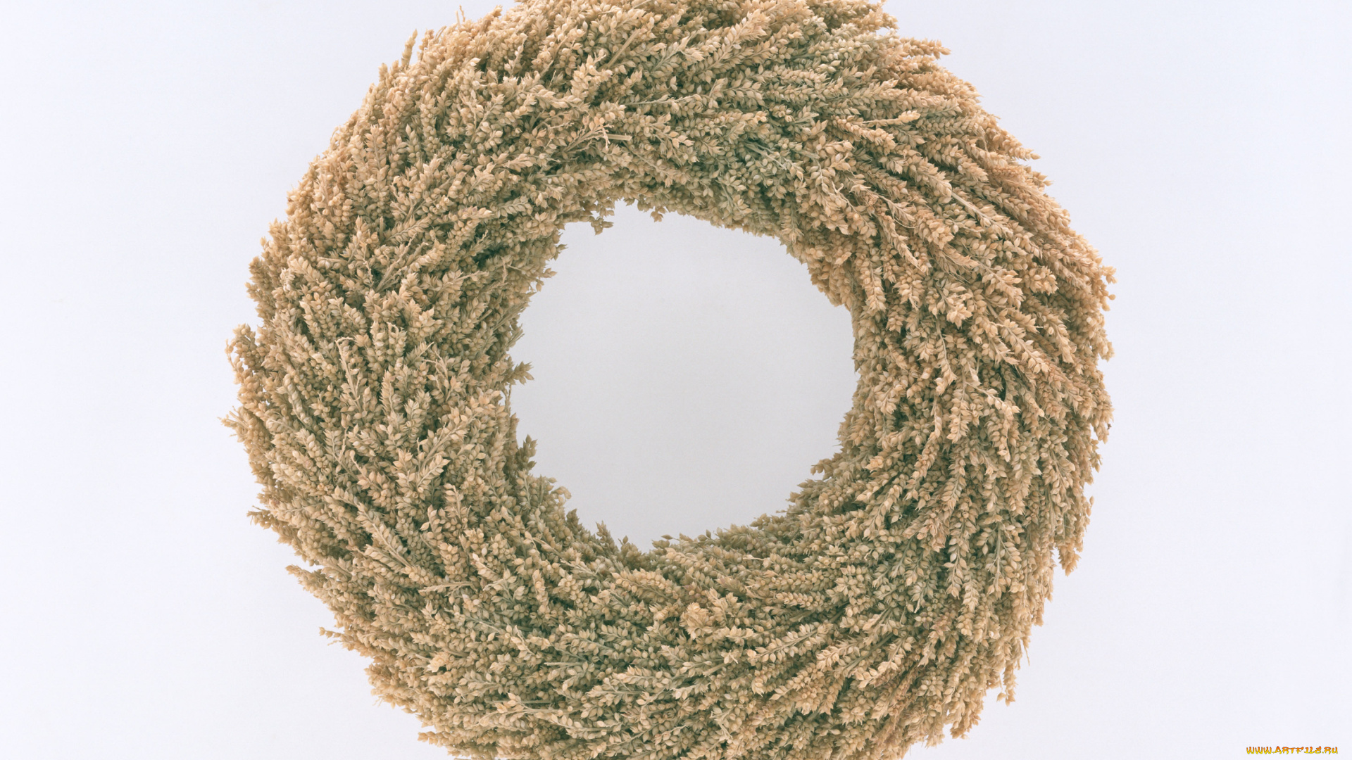 цветы, венок, лепестки