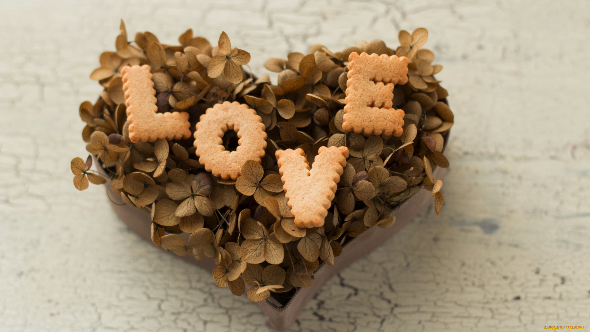 праздничные, день, св, валентина, сердечки, любовь, сердце, гортензия, печенье