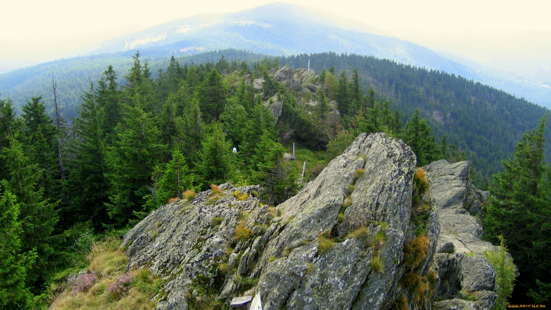 природа, горы, деревья