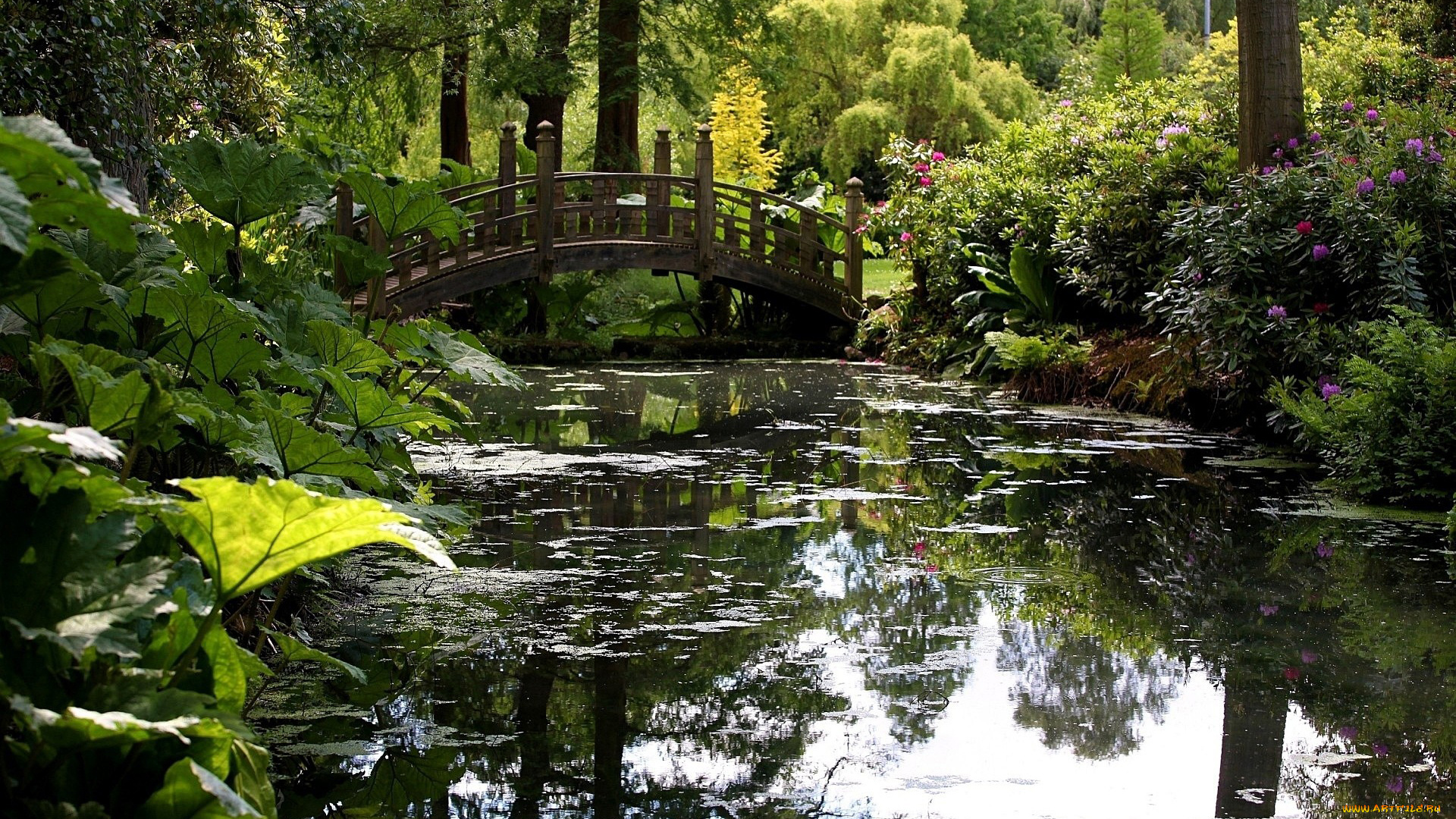 природа, парк, деревья, цветы, мостик, водоем