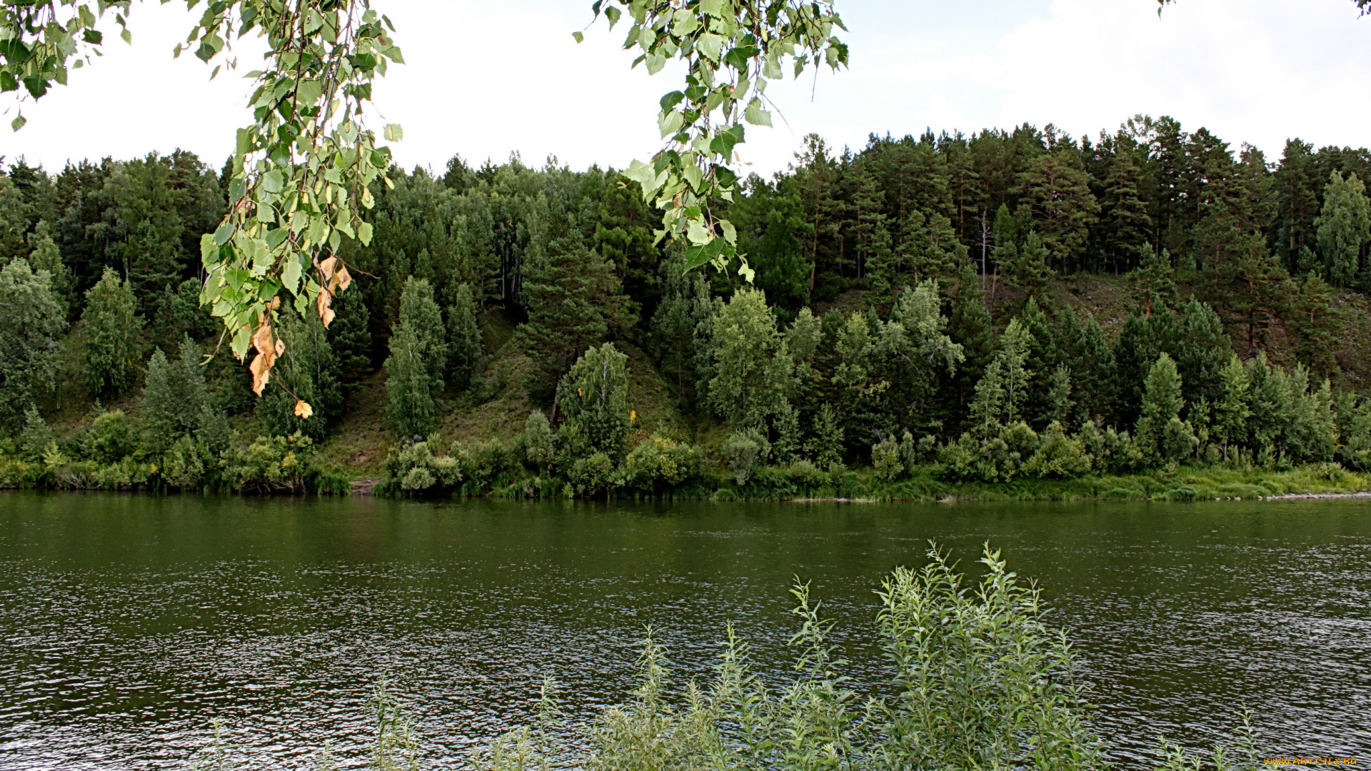 природа, реки, озера, лес, река