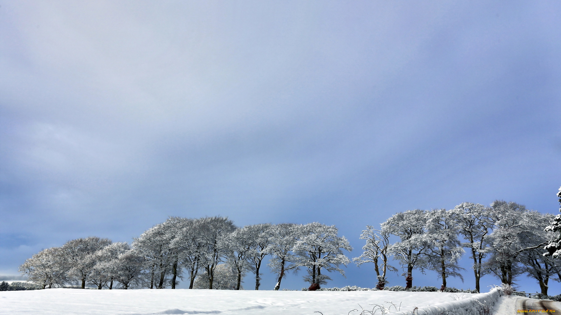 природа, зима, деревья, поле, дорога