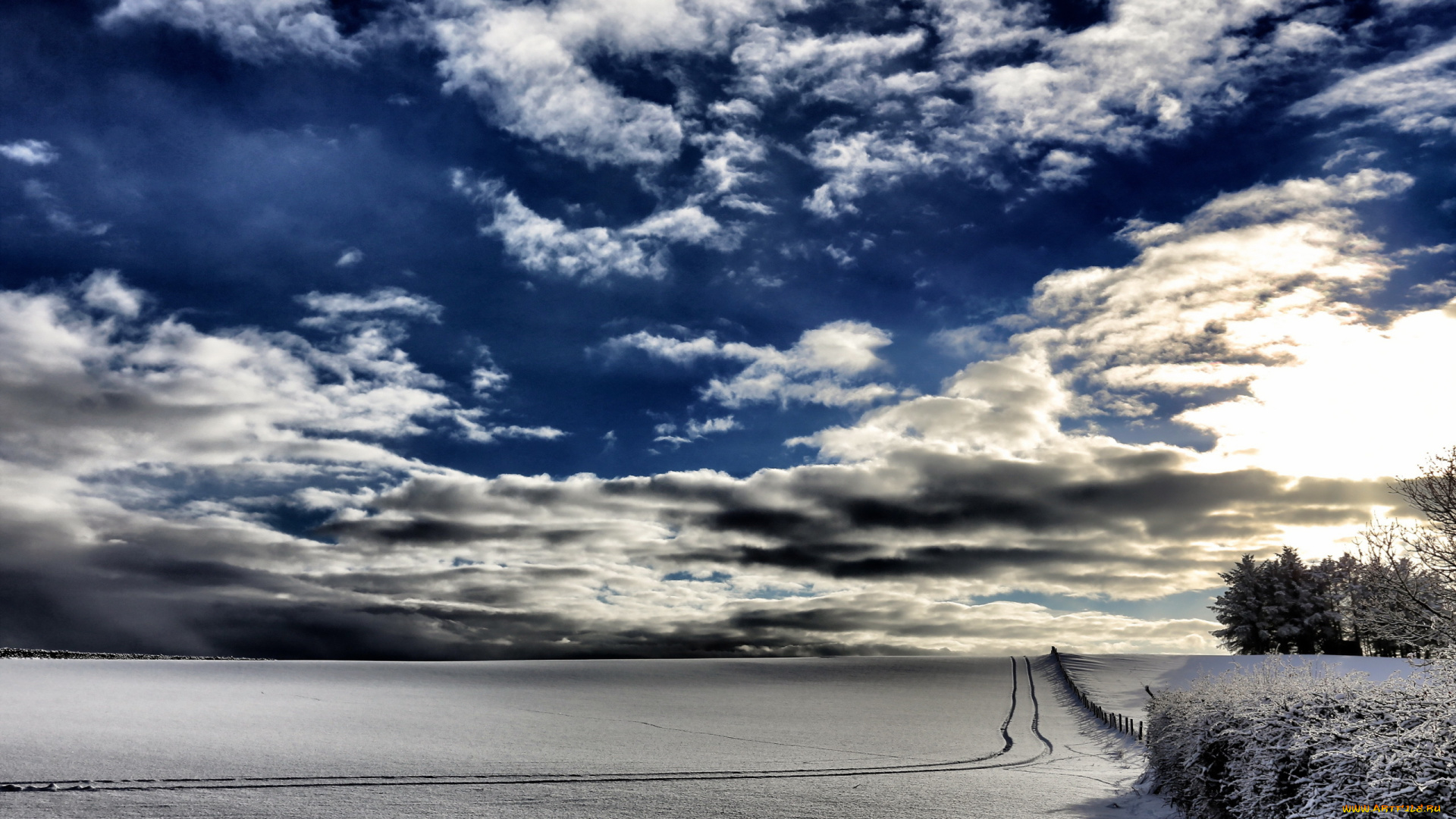 природа, зима, небо, поле