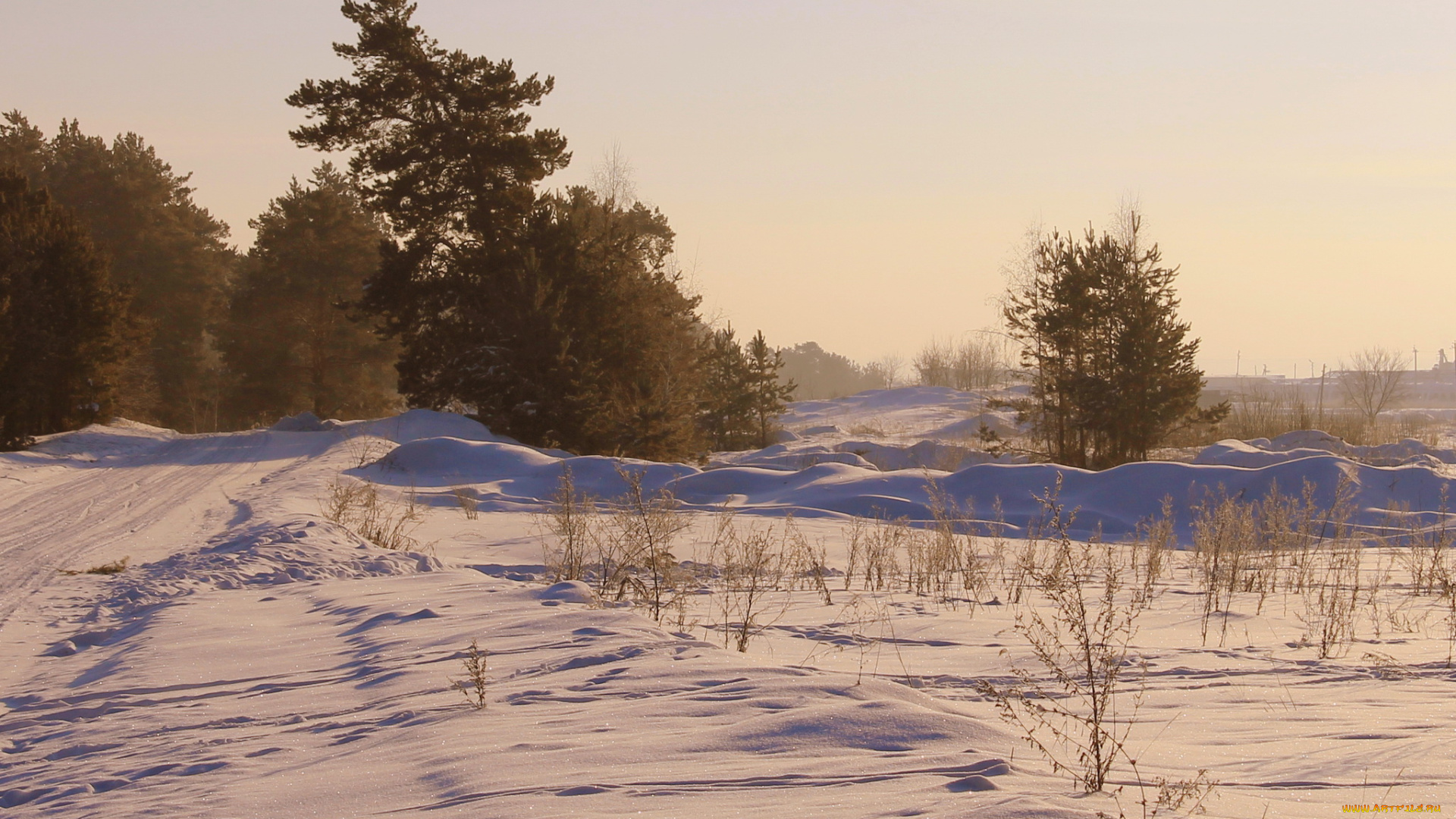 природа, зима, снег