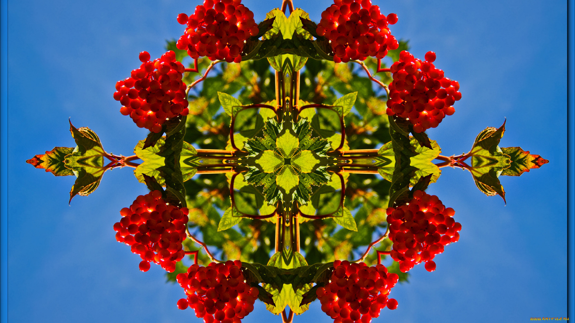 разное, компьютерный, дизайн, калина