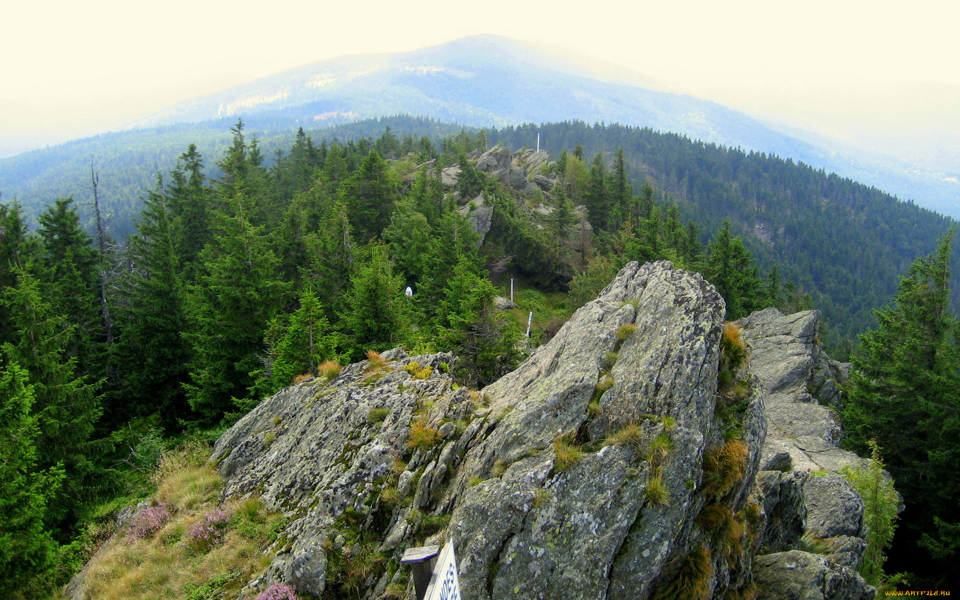 природа, горы, деревья