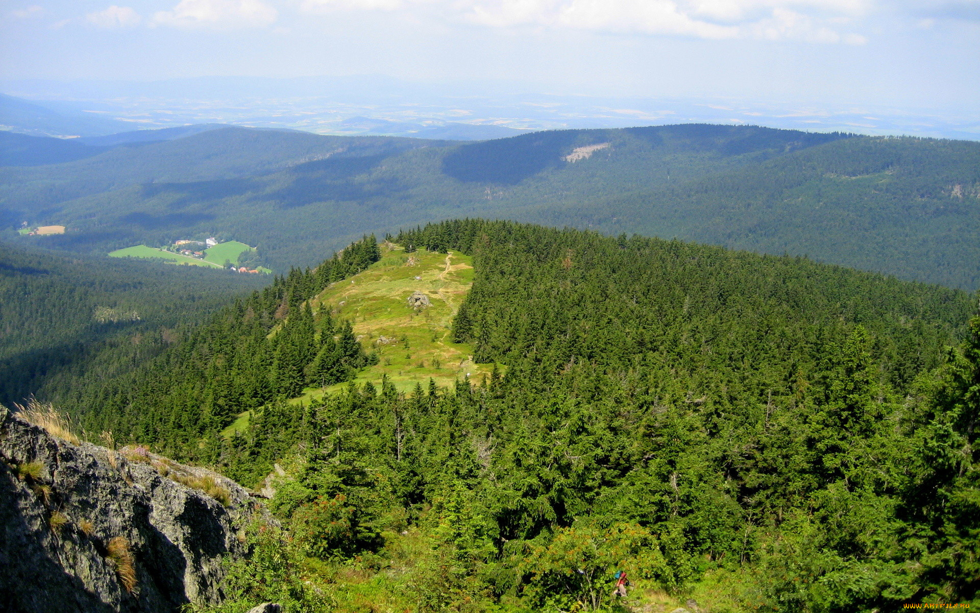 природа, горы, лес, деревья, долина