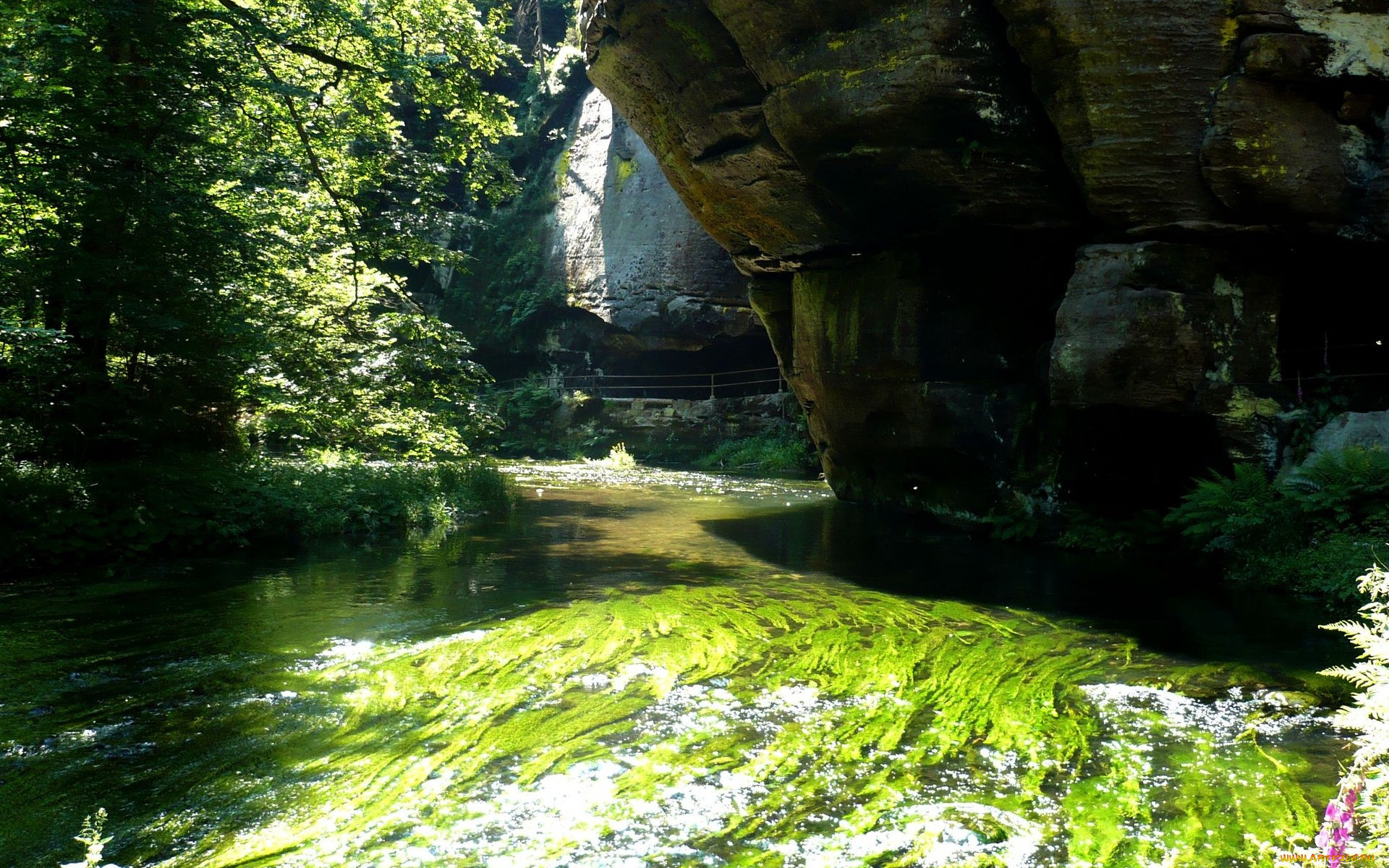 природа, реки, озера, вода, скалы