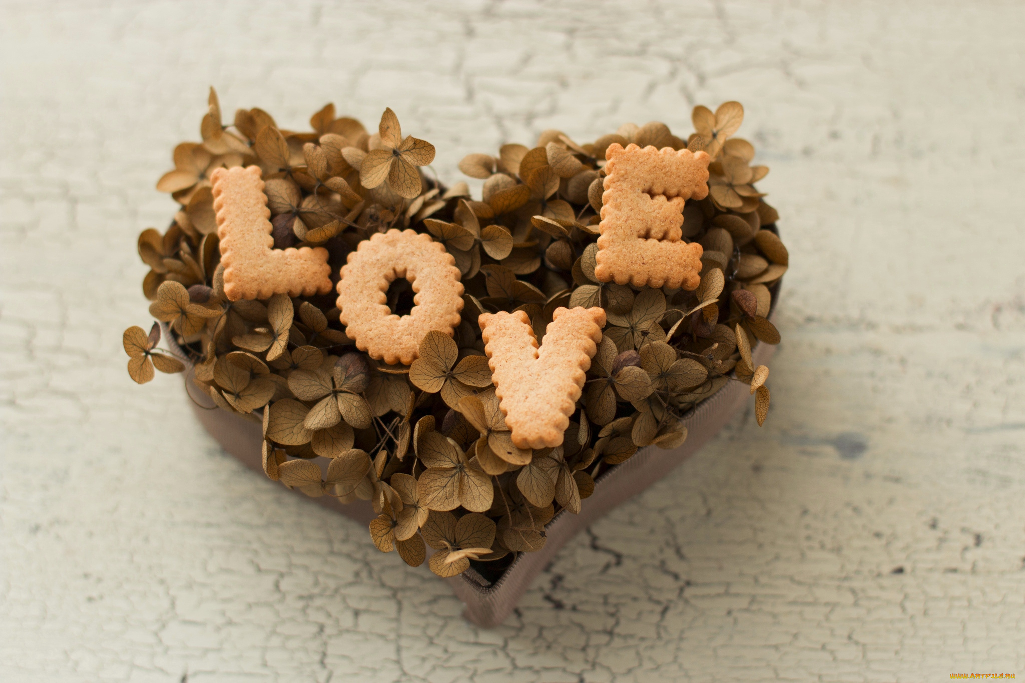 праздничные, день, св, валентина, сердечки, любовь, сердце, гортензия, печенье