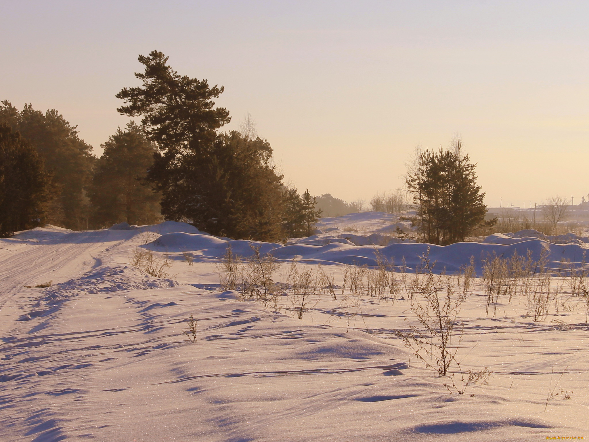 природа, зима, снег