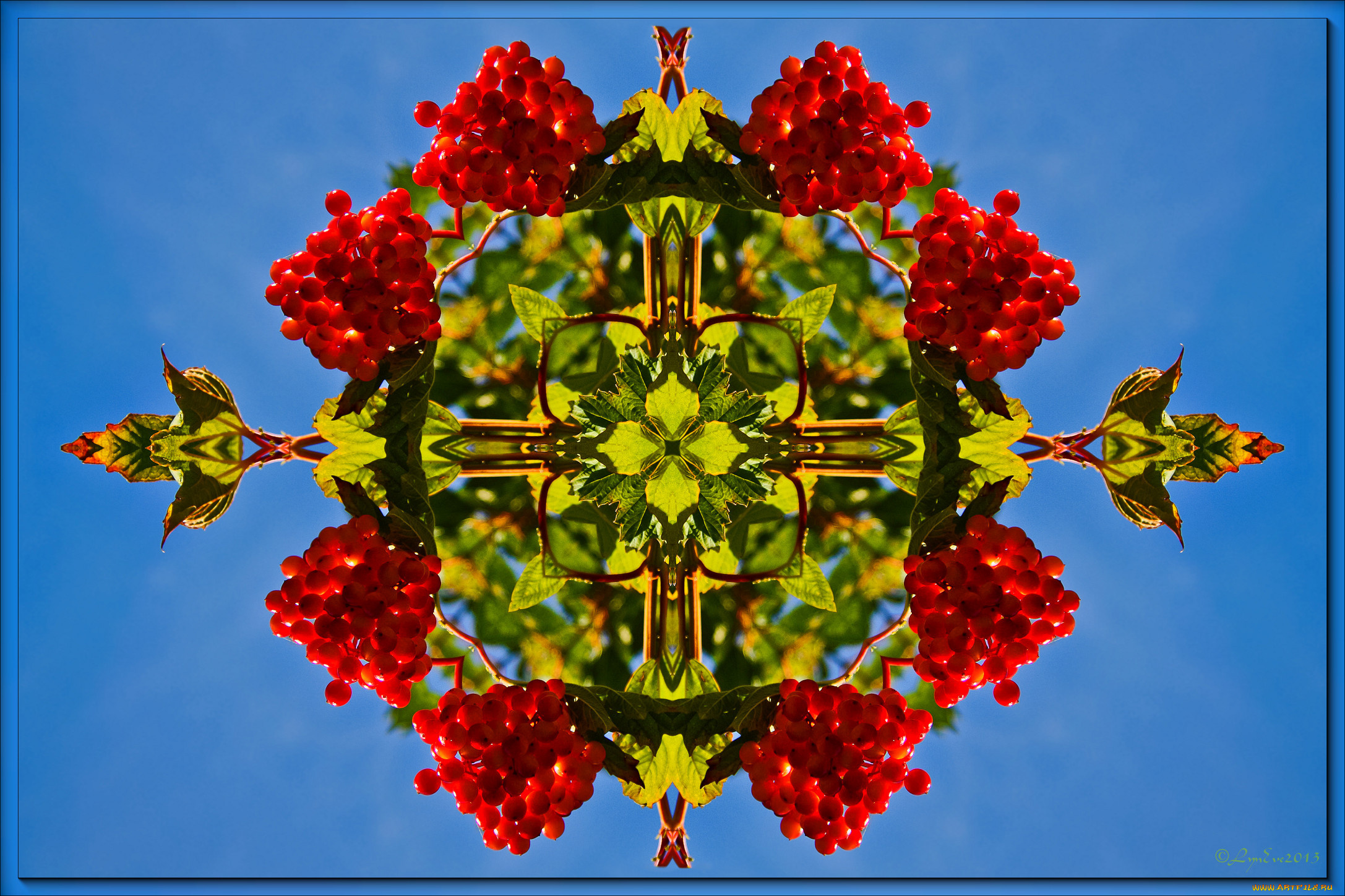 разное, компьютерный, дизайн, калина