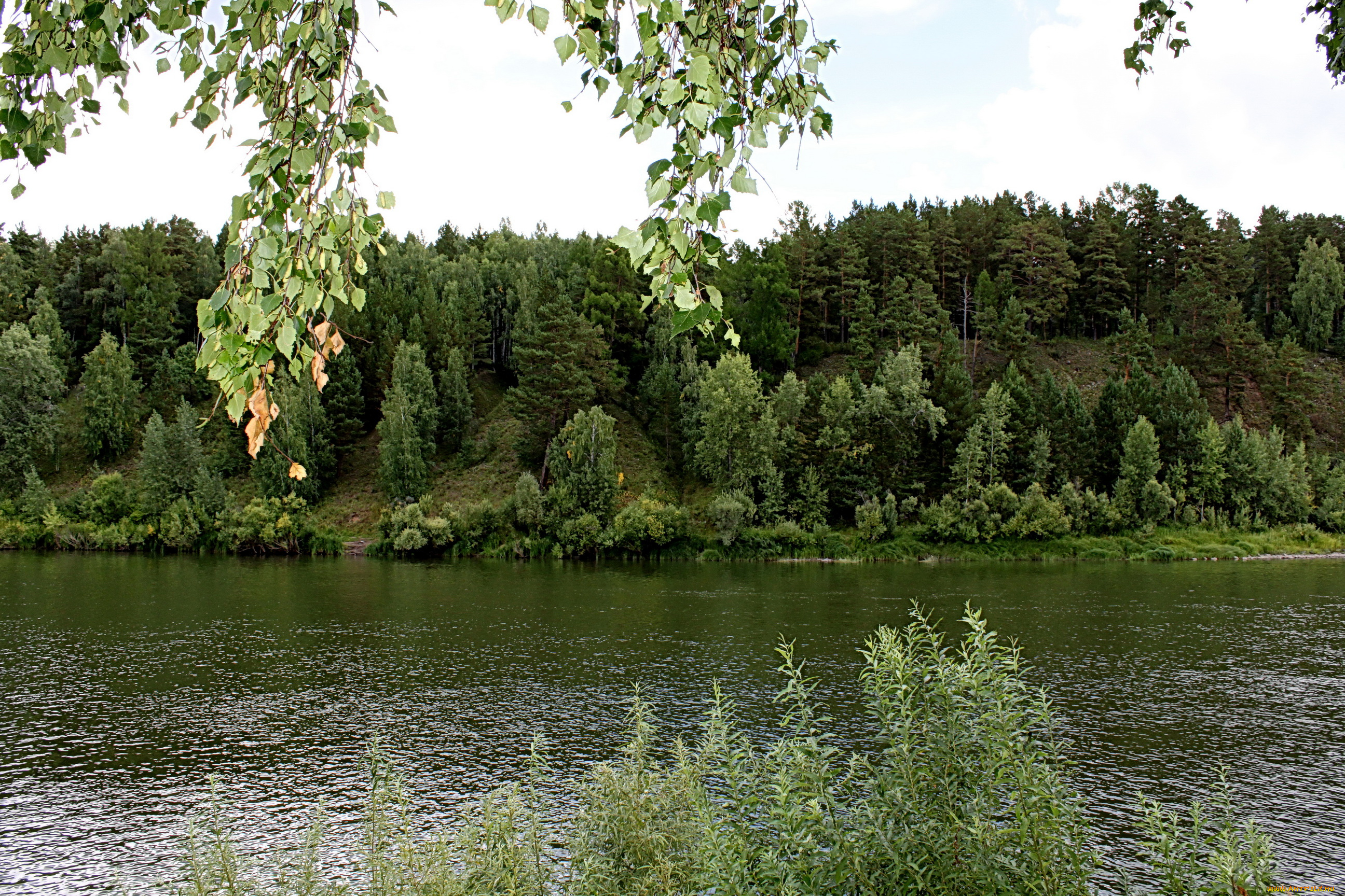 природа, реки, озера, лес, река