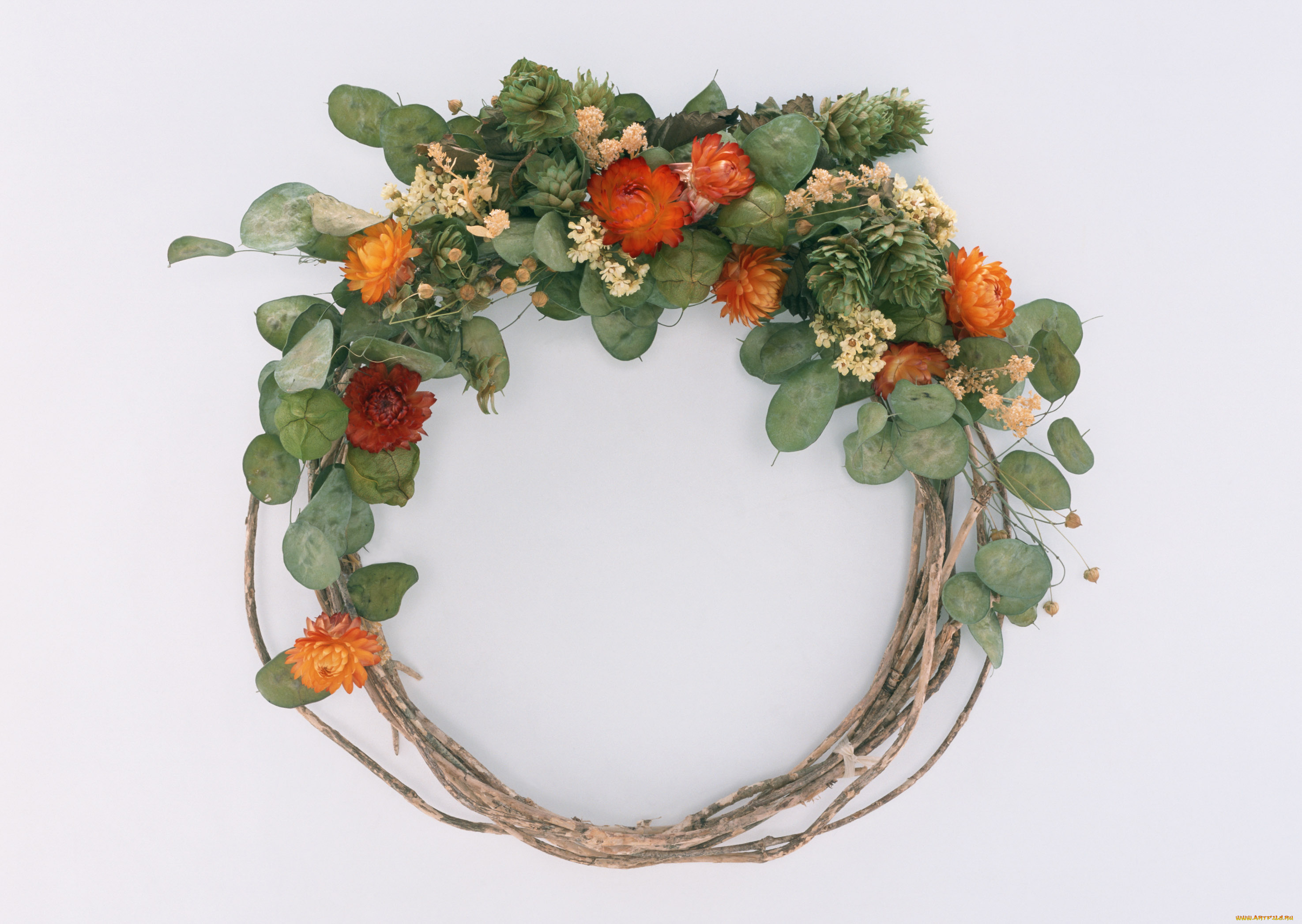 цветы, букеты, композиции, лепестки, венок