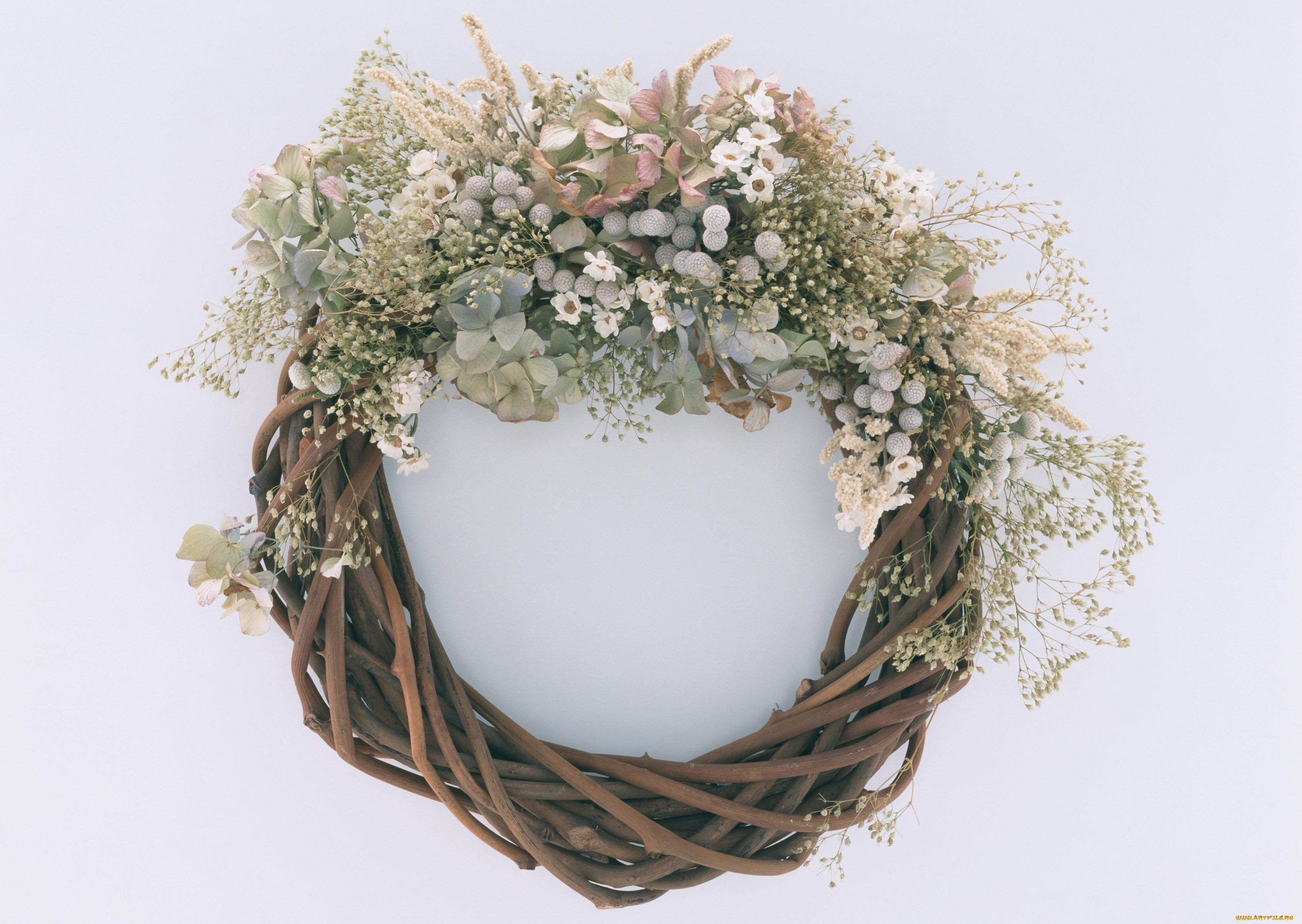 цветы, букеты, композиции, лепестки, венок