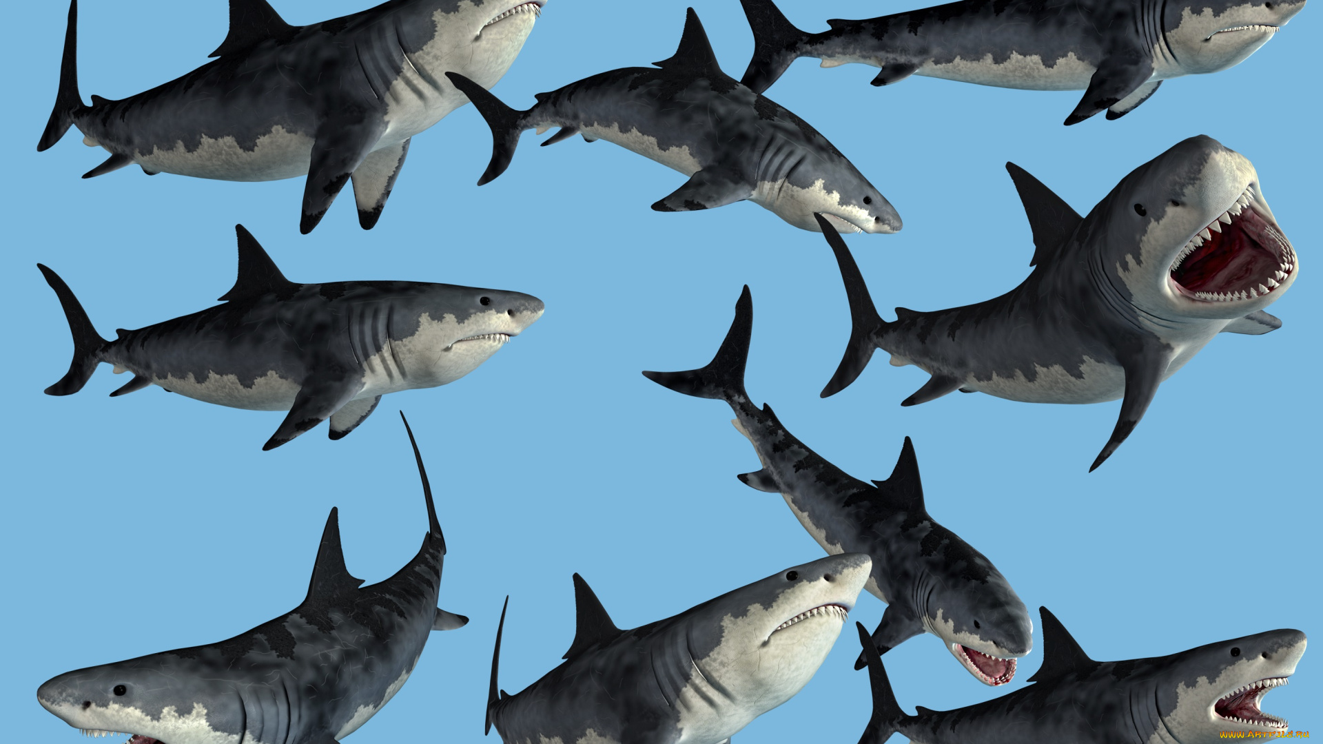 3д, графика, animals, , животные, акулы
