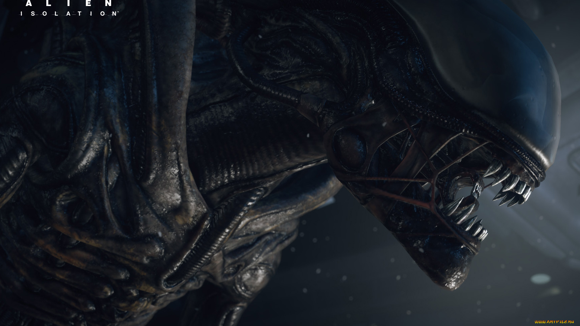 alien, isolation, видео, игры, alien, , isolation, isolation, чужой, survival, монстр, игра, horror