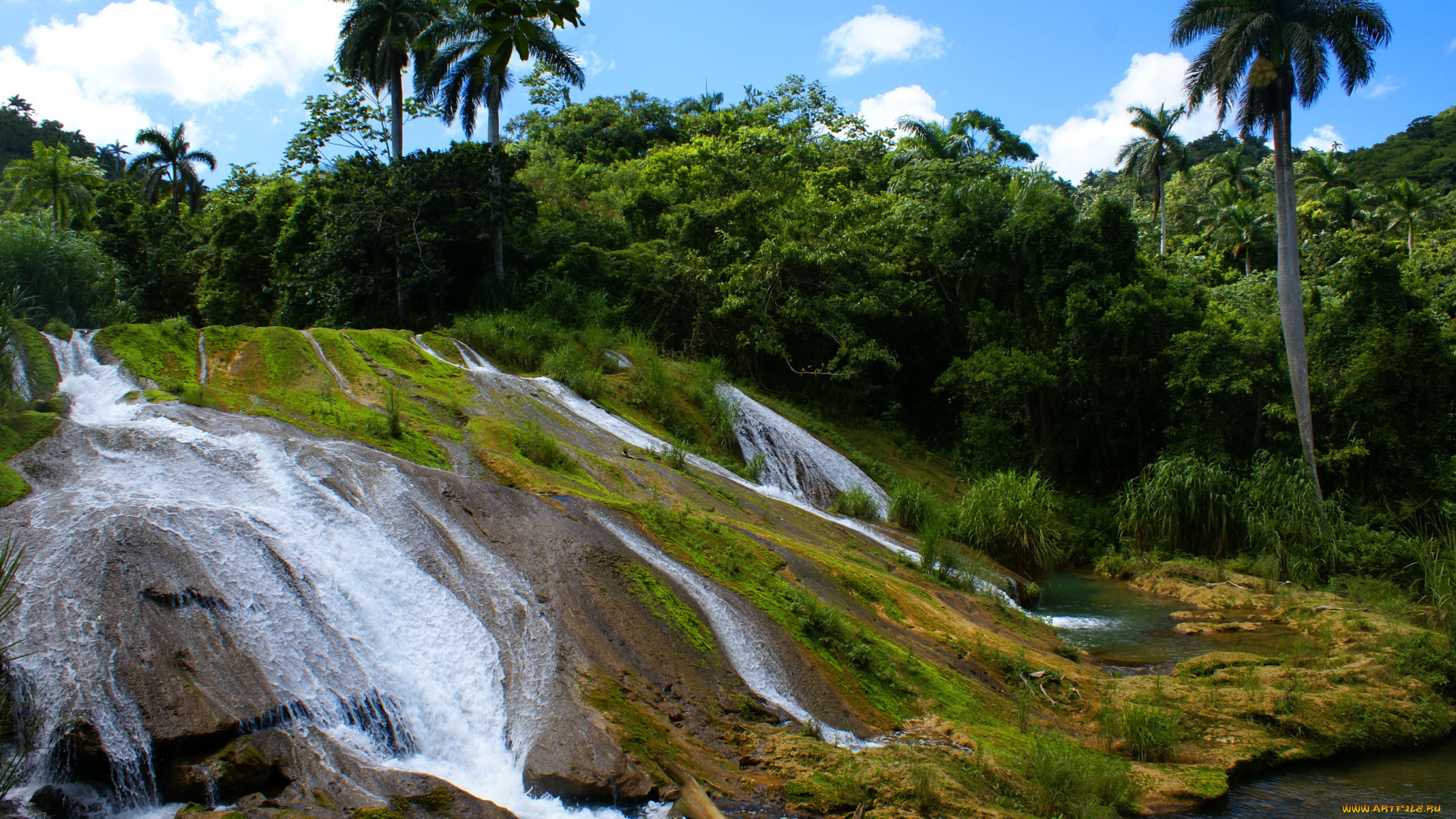 cascadas, de, el, nicho, , куба, природа, водопады, каскад, водопад, куба