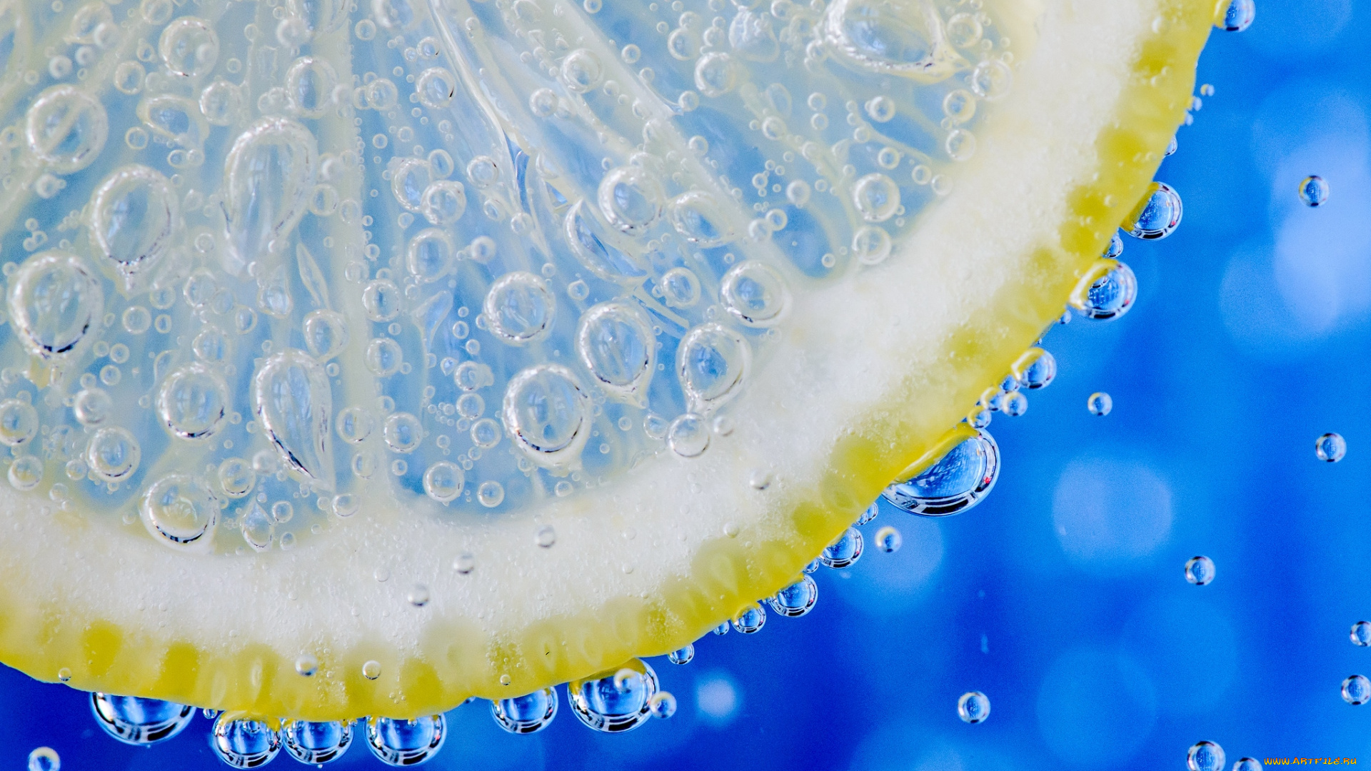 еда, цитрусы, лимон