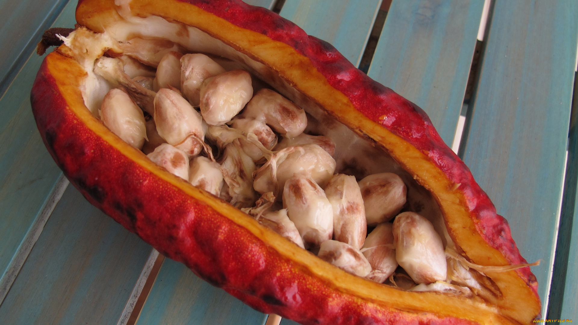 еда, разное, просушка, какао-бобы