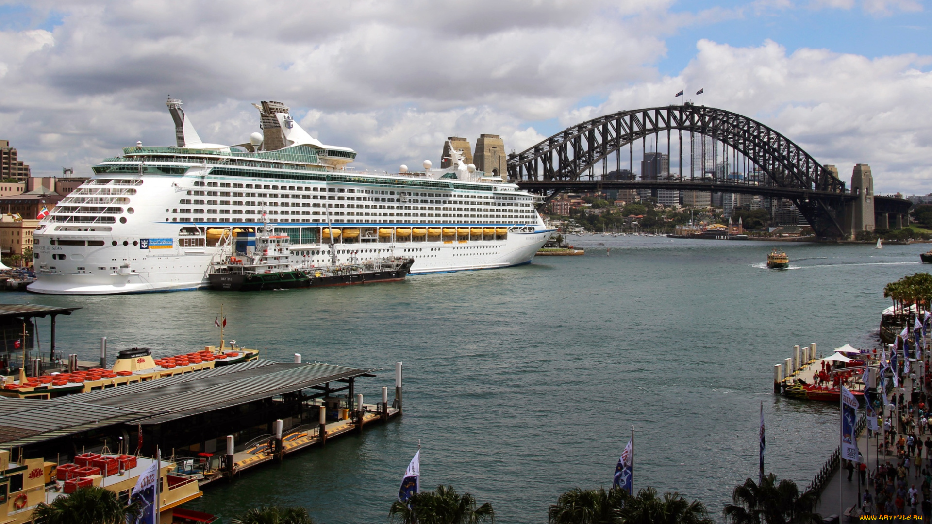 корабли, разные, вместе, круиз, сидней