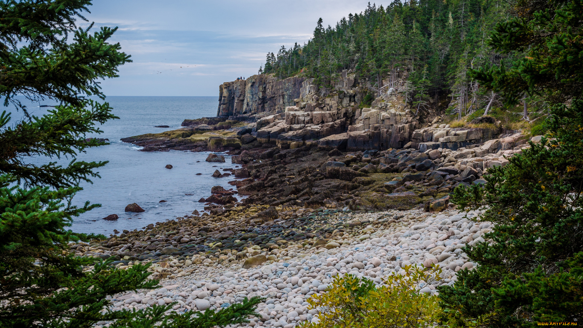 природа, побережье, пляж, океан, лес, скалы, галька