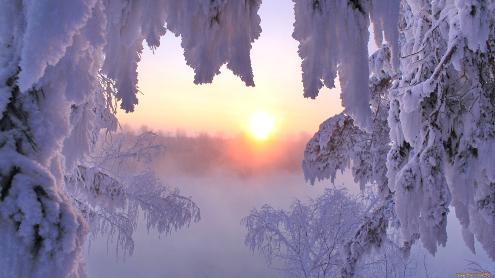 природа, зима, солнце, снег