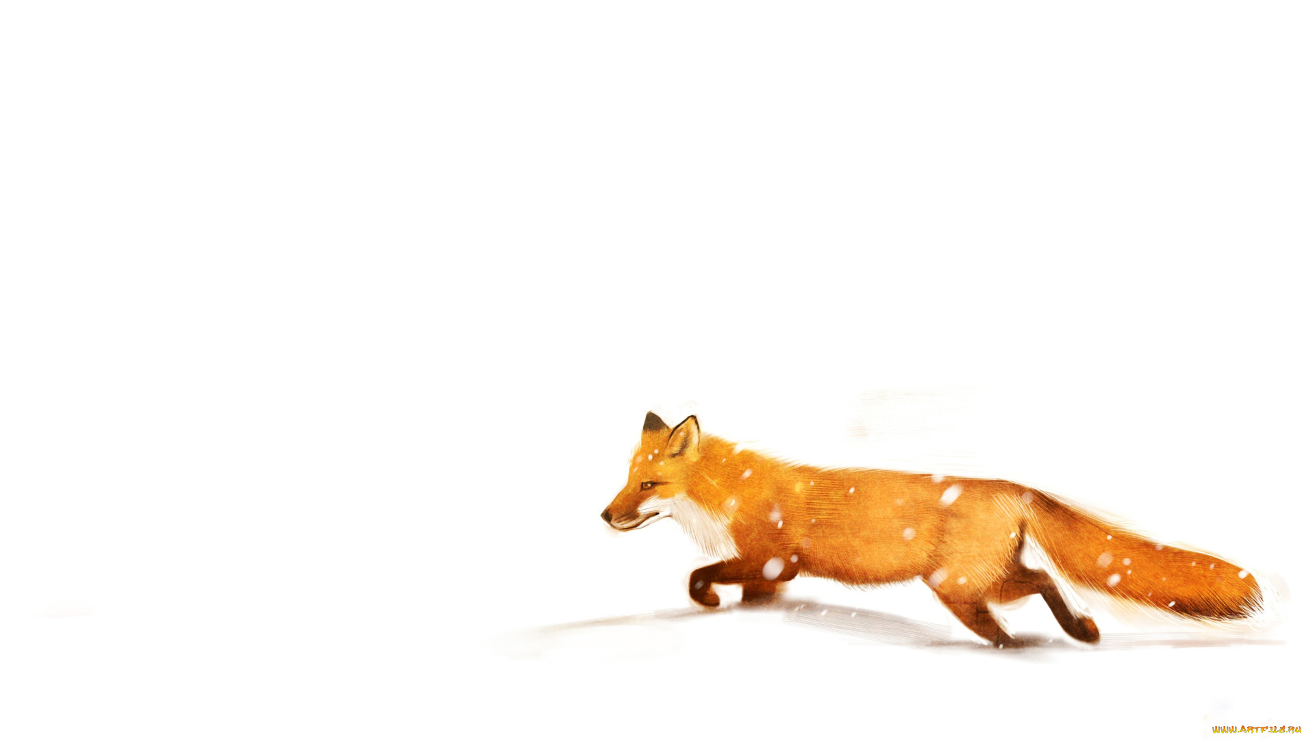 рисованные, животные, , лисы, белизна, лиса, снег