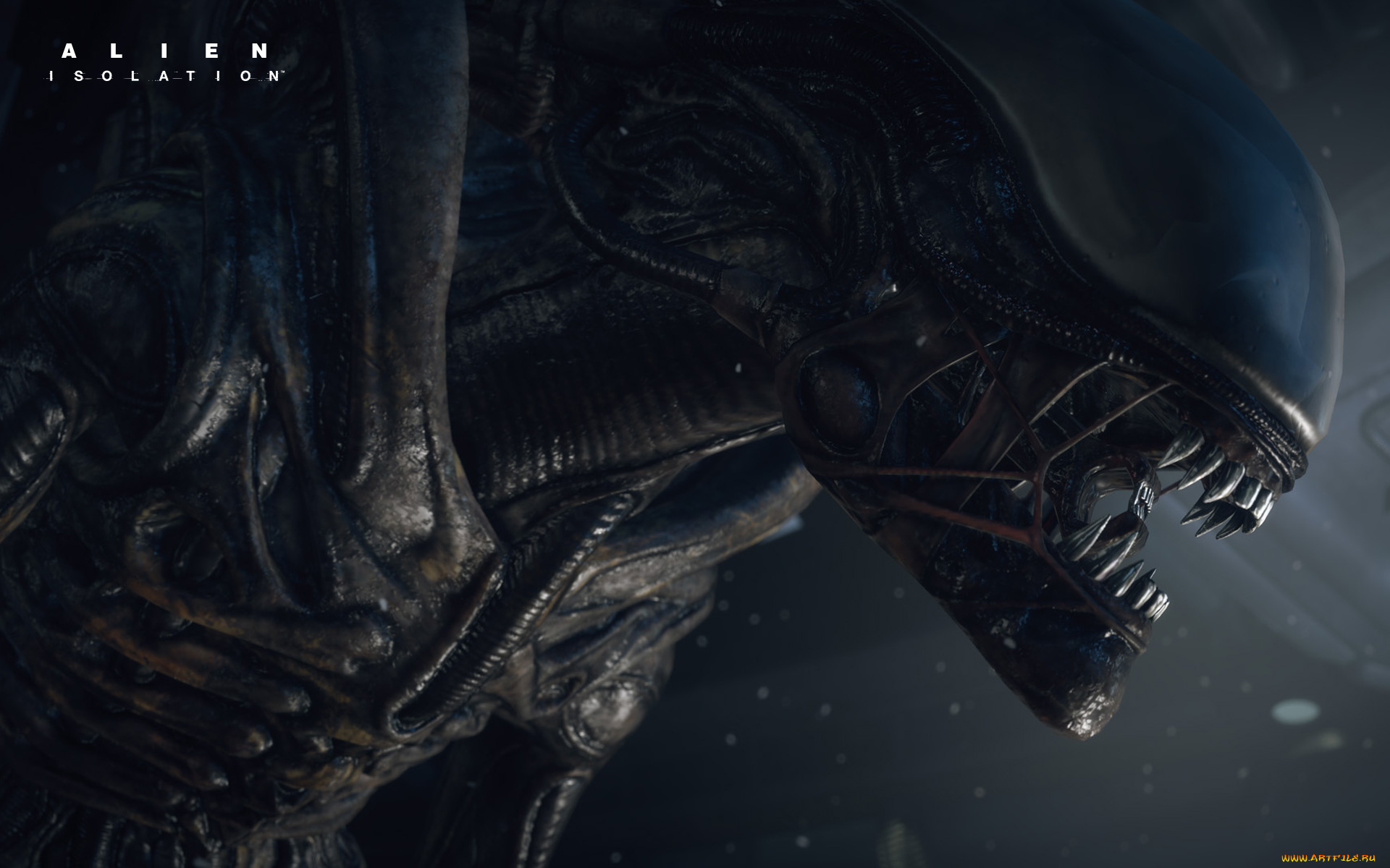 alien, isolation, видео, игры, alien, , isolation, isolation, чужой, survival, монстр, игра, horror
