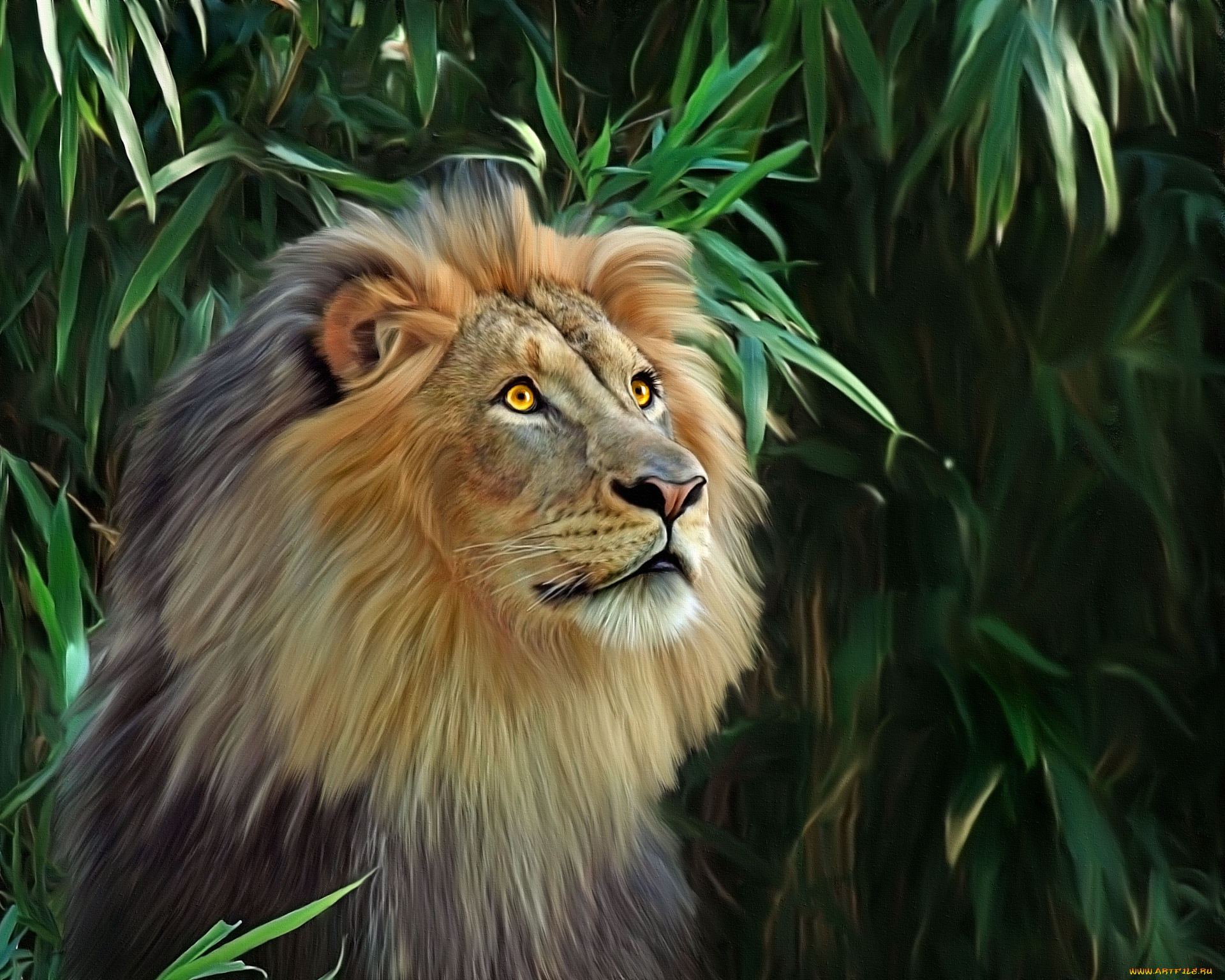 рисованные, животные, , львы, лев, кусты