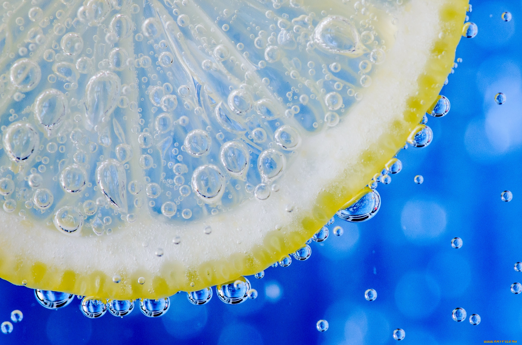 еда, цитрусы, лимон