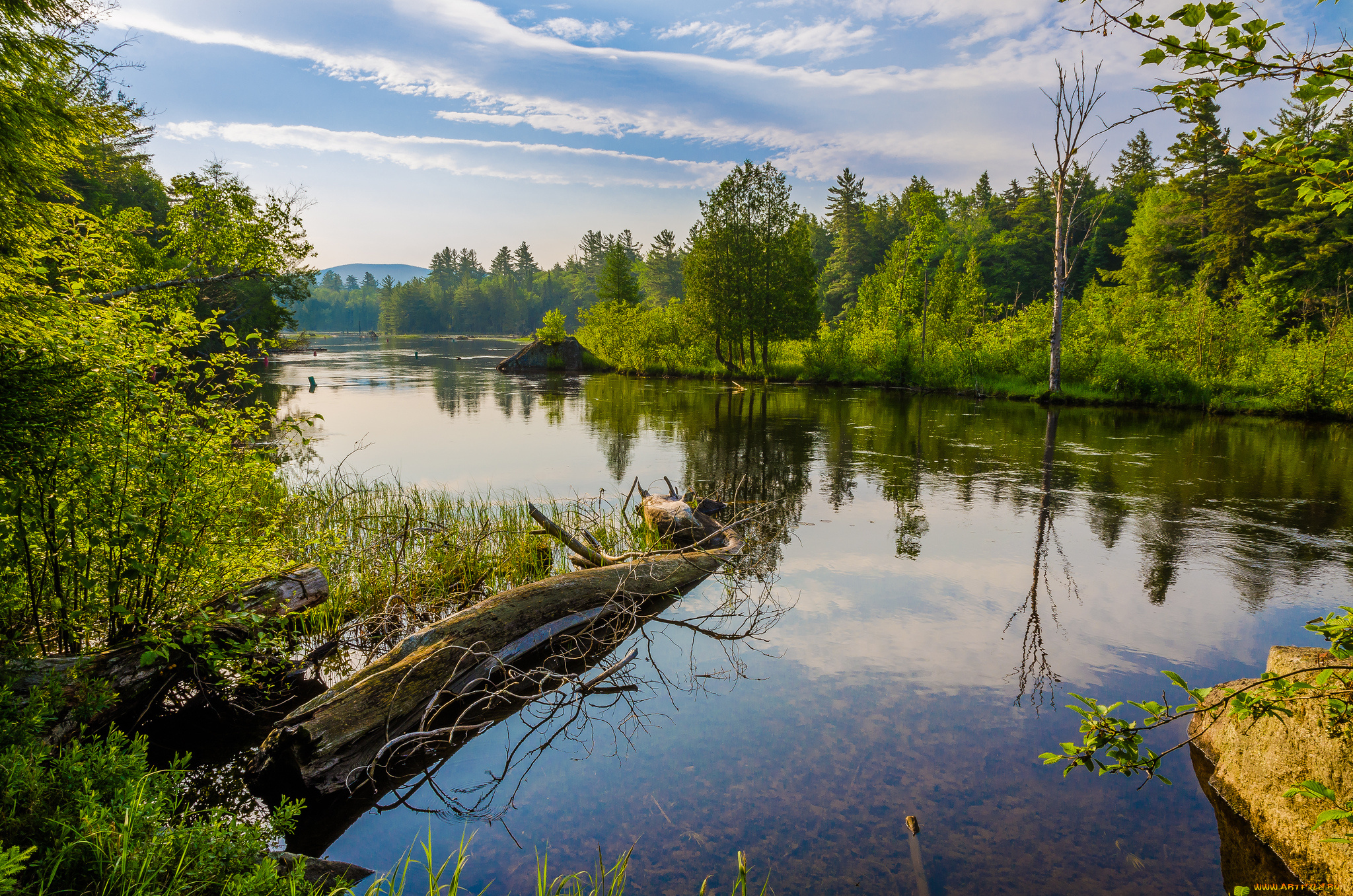 природа, реки, озера, лес, река, лето, облака