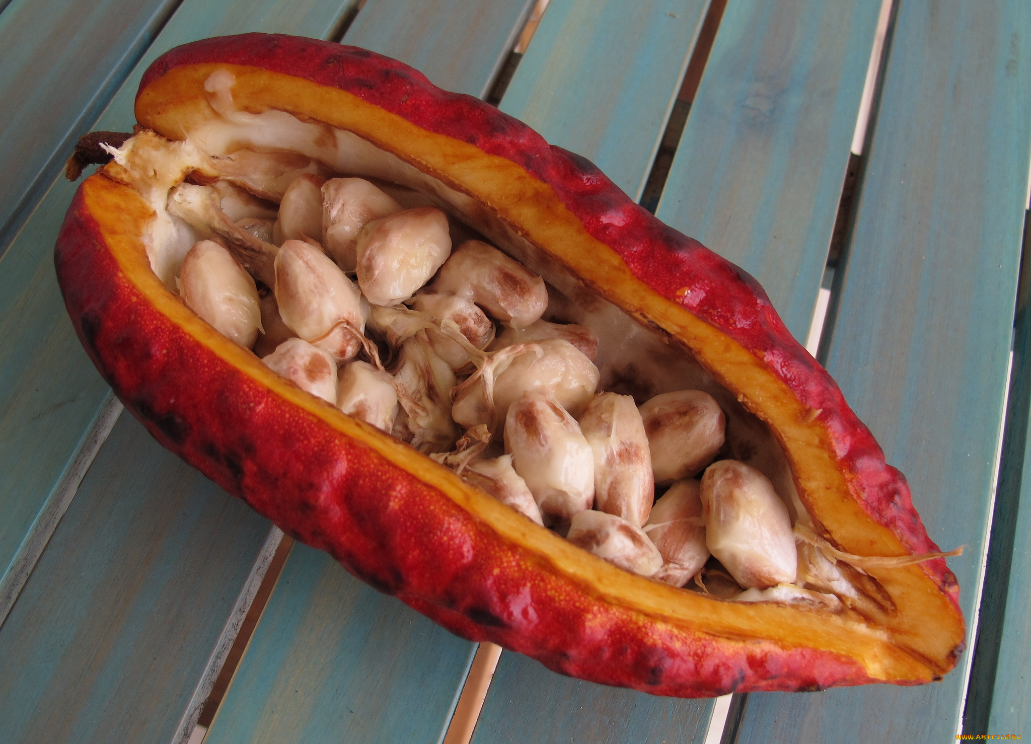 еда, разное, просушка, какао-бобы