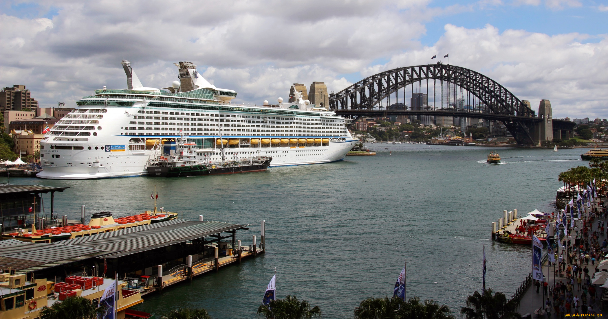 корабли, разные, вместе, круиз, сидней