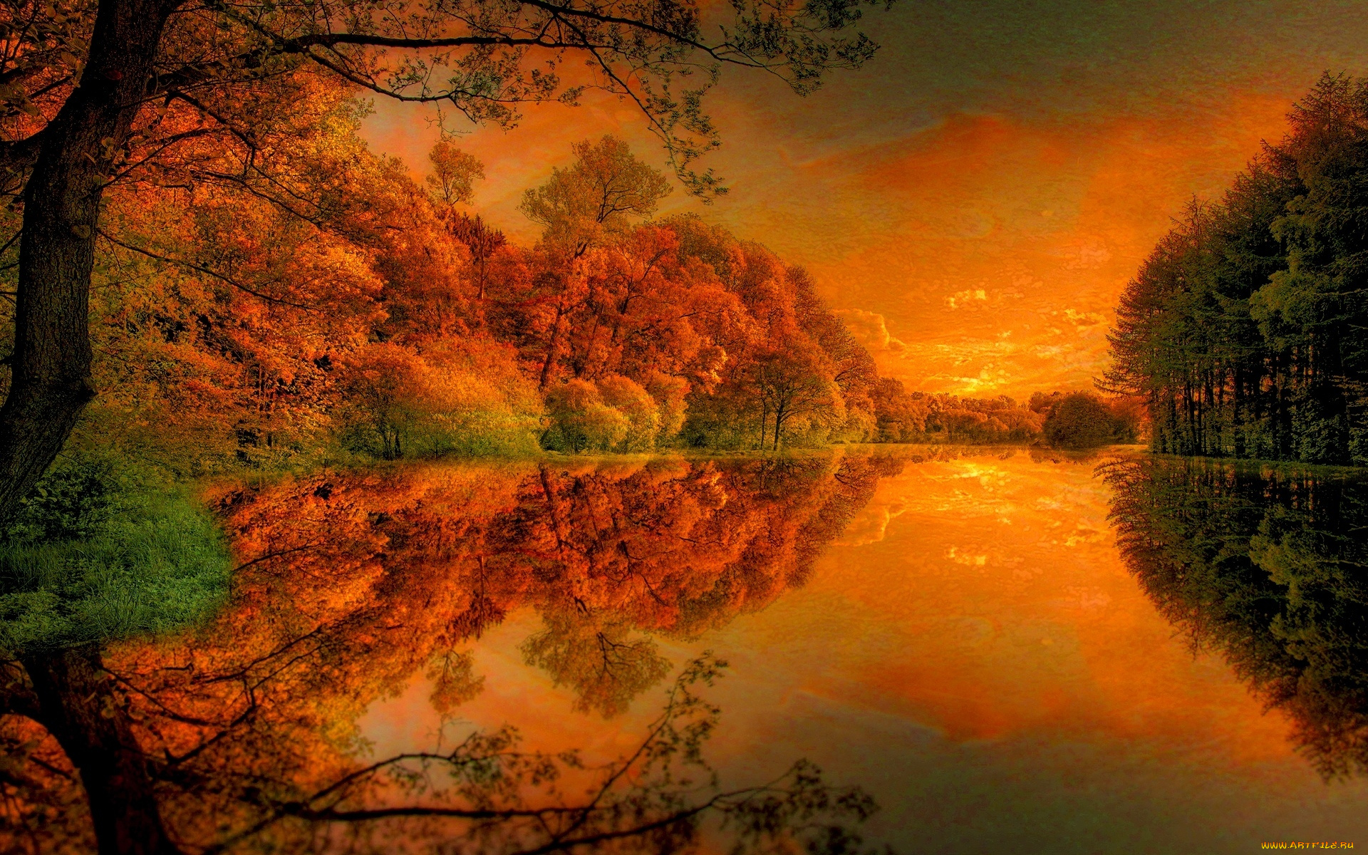 разное, компьютерный, дизайн, деревья, осень, река, обработка
