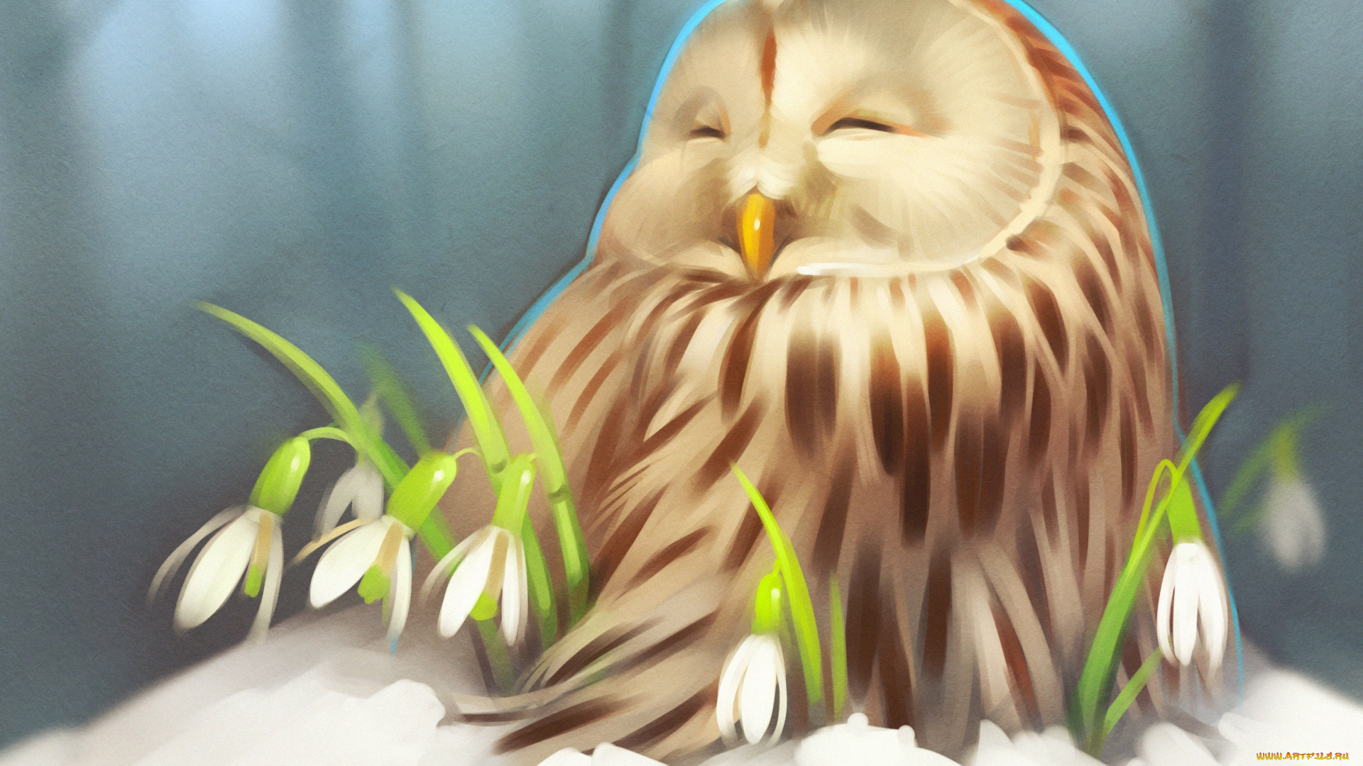 gaudibuendia, рисованное, животные, , птицы, , совы, , филины, совёнок, арт, сова, снег, цветы, зима, подснежник