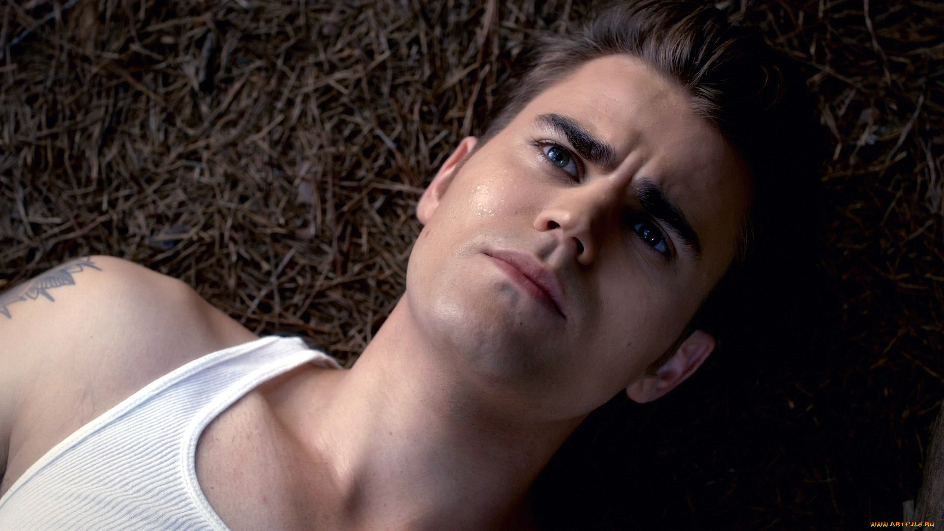 кино, фильмы, the, vampire, diaries, paul, wesley