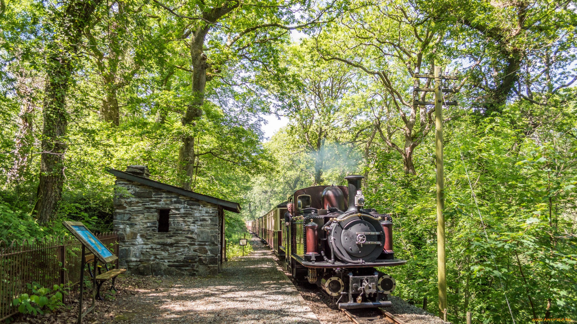 техника, паровозы, паровоз, рельсы